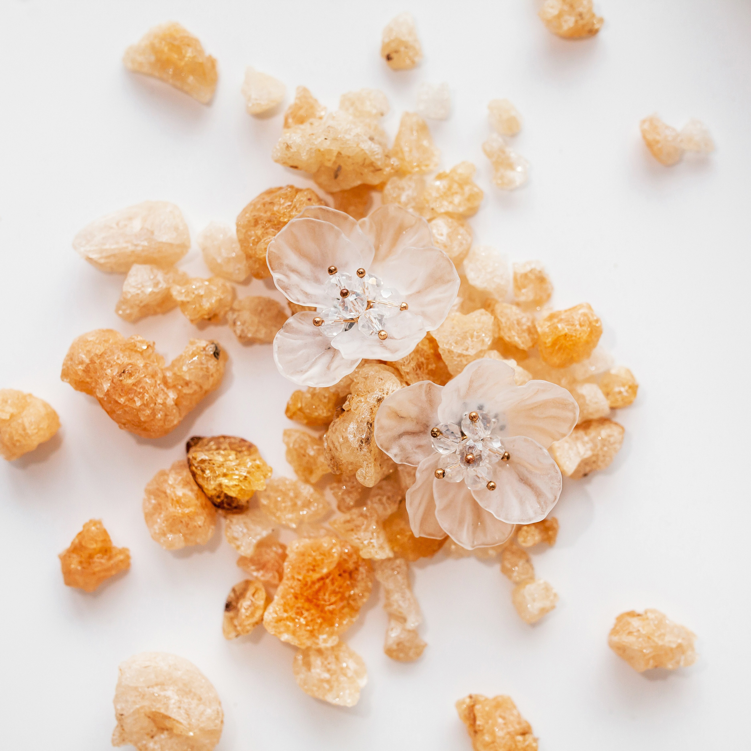 Услуги. Фотограф в Новосибирске Дарья Горнакова