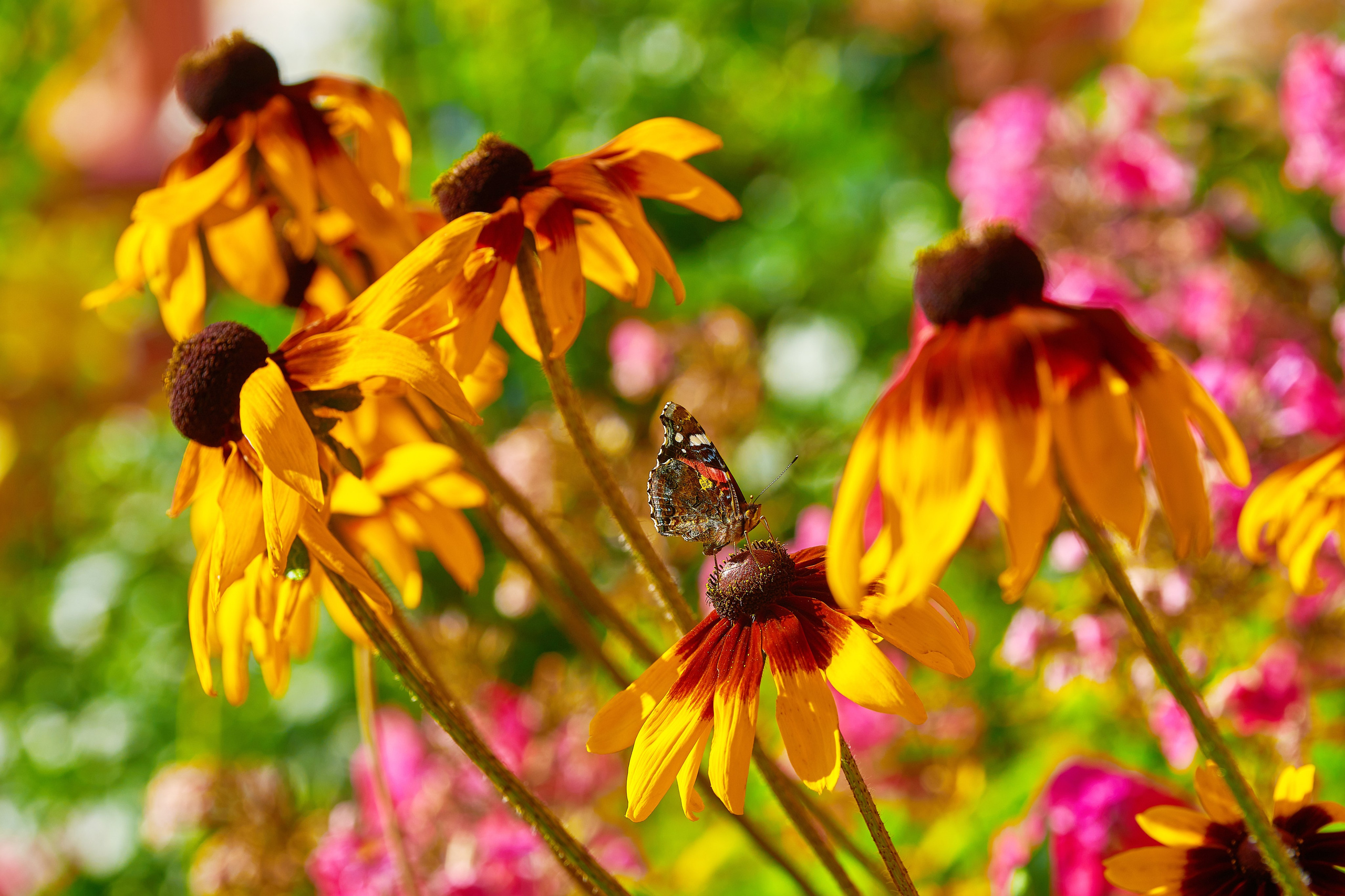 Наша мать — природа. Фотограф Владимир Артамонов