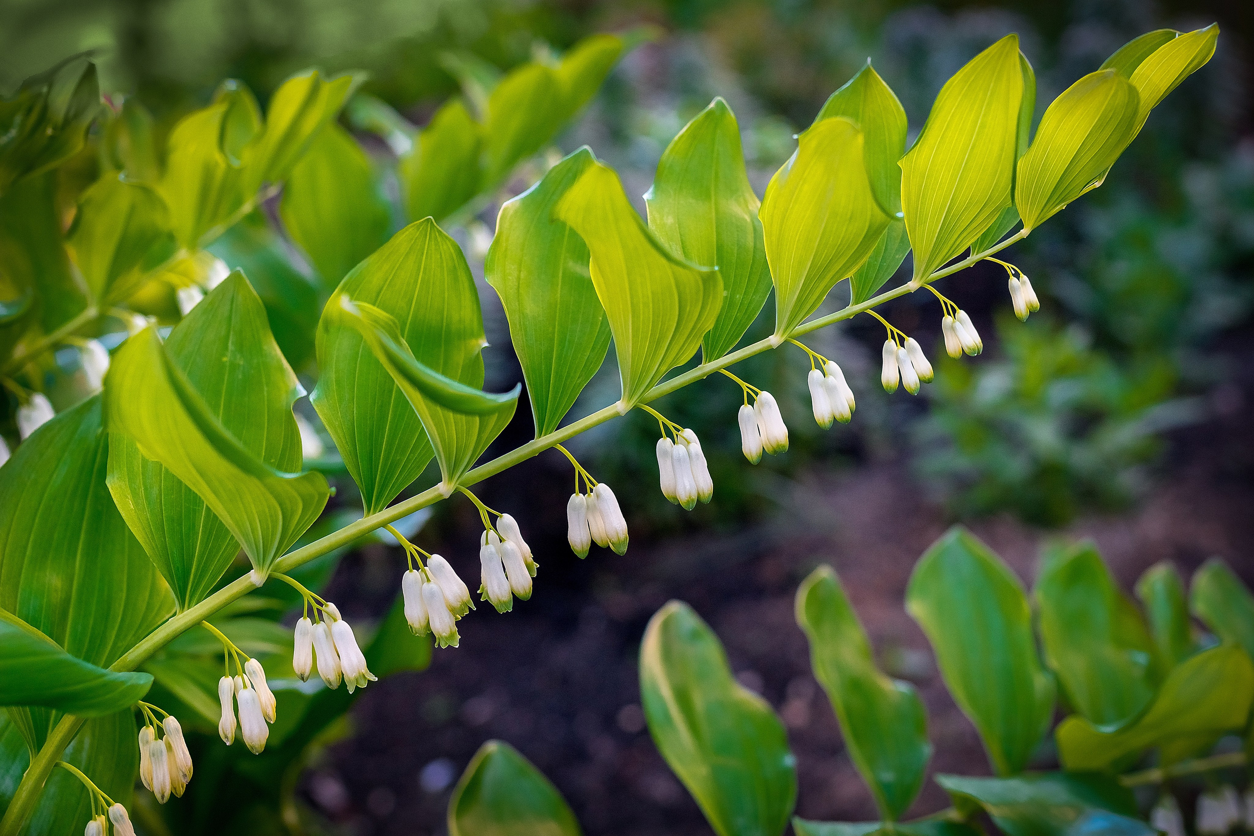 Наша мать — природа. Фотограф Владимир Артамонов