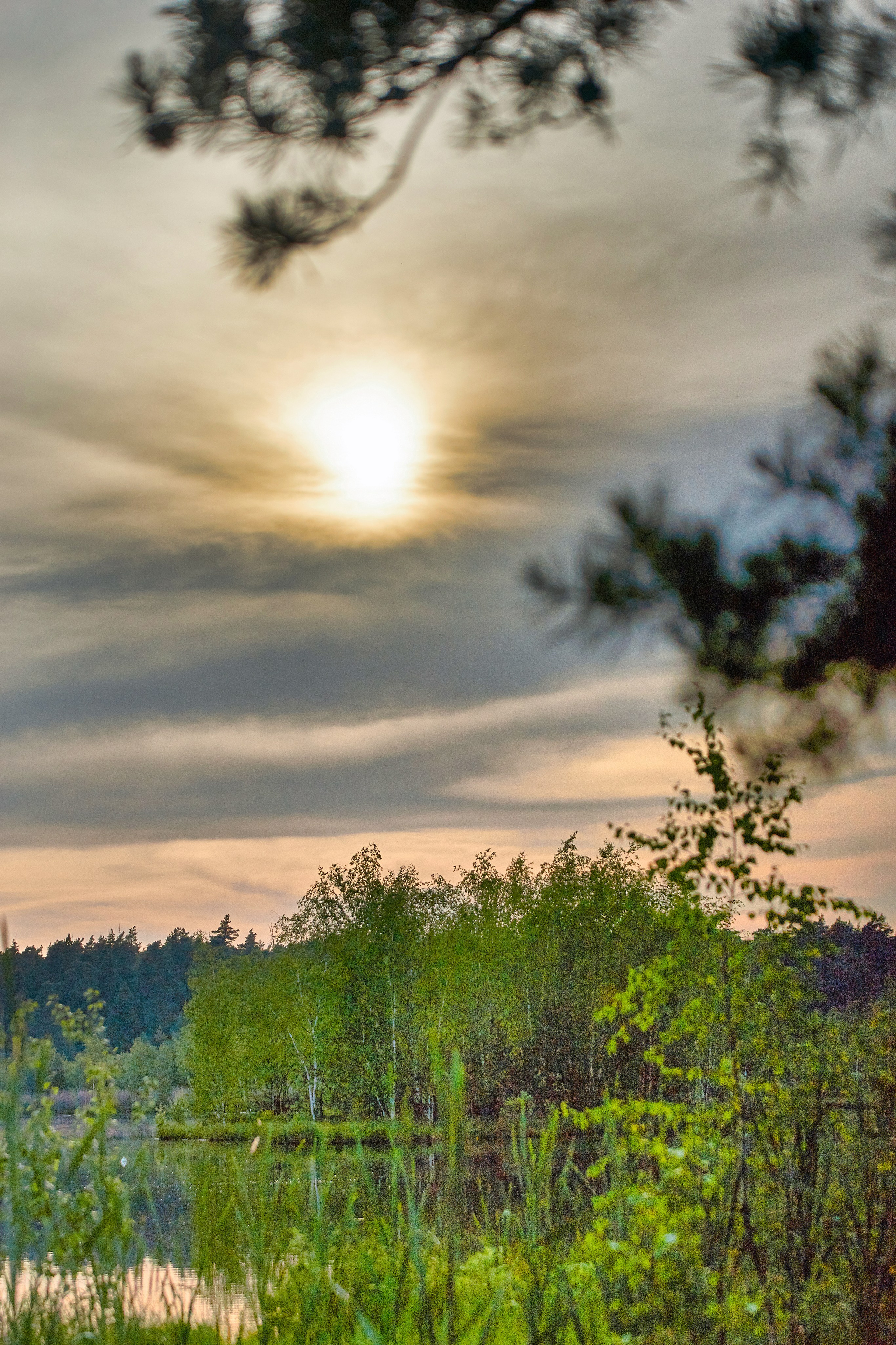 Наша мать — природа. Фотограф Владимир Артамонов