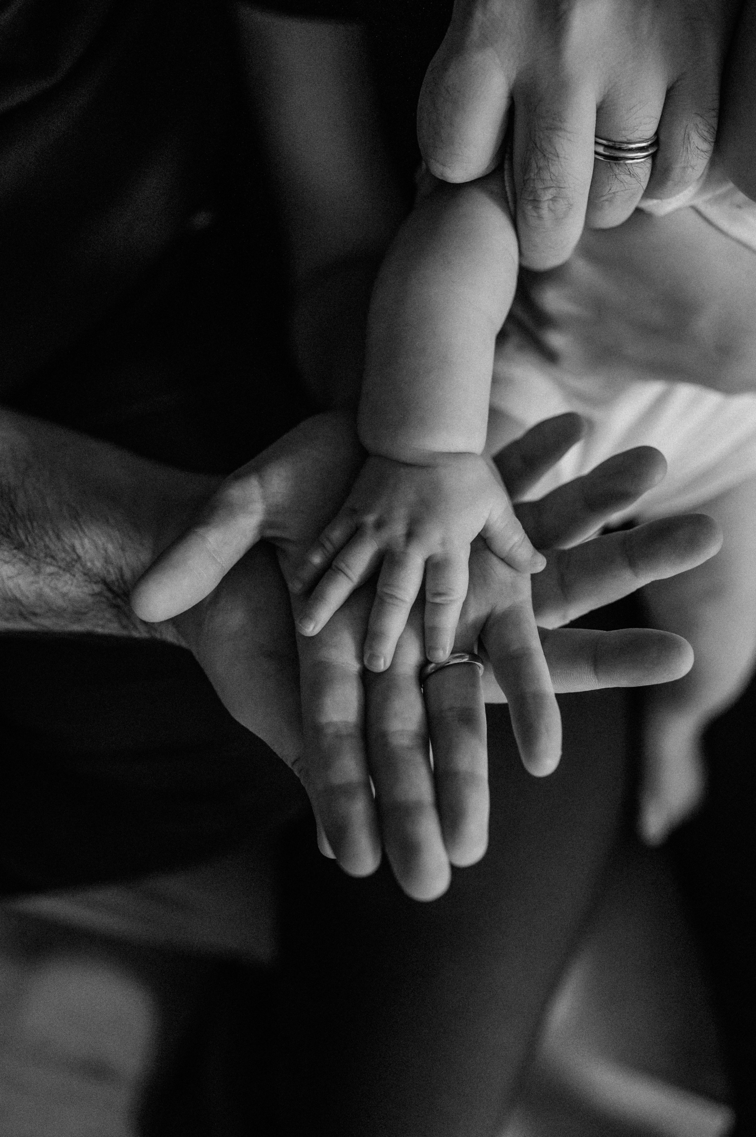 Агата, Катя, Руслан. Свадебный фотограф, фотограф беременности Дарья Доценко