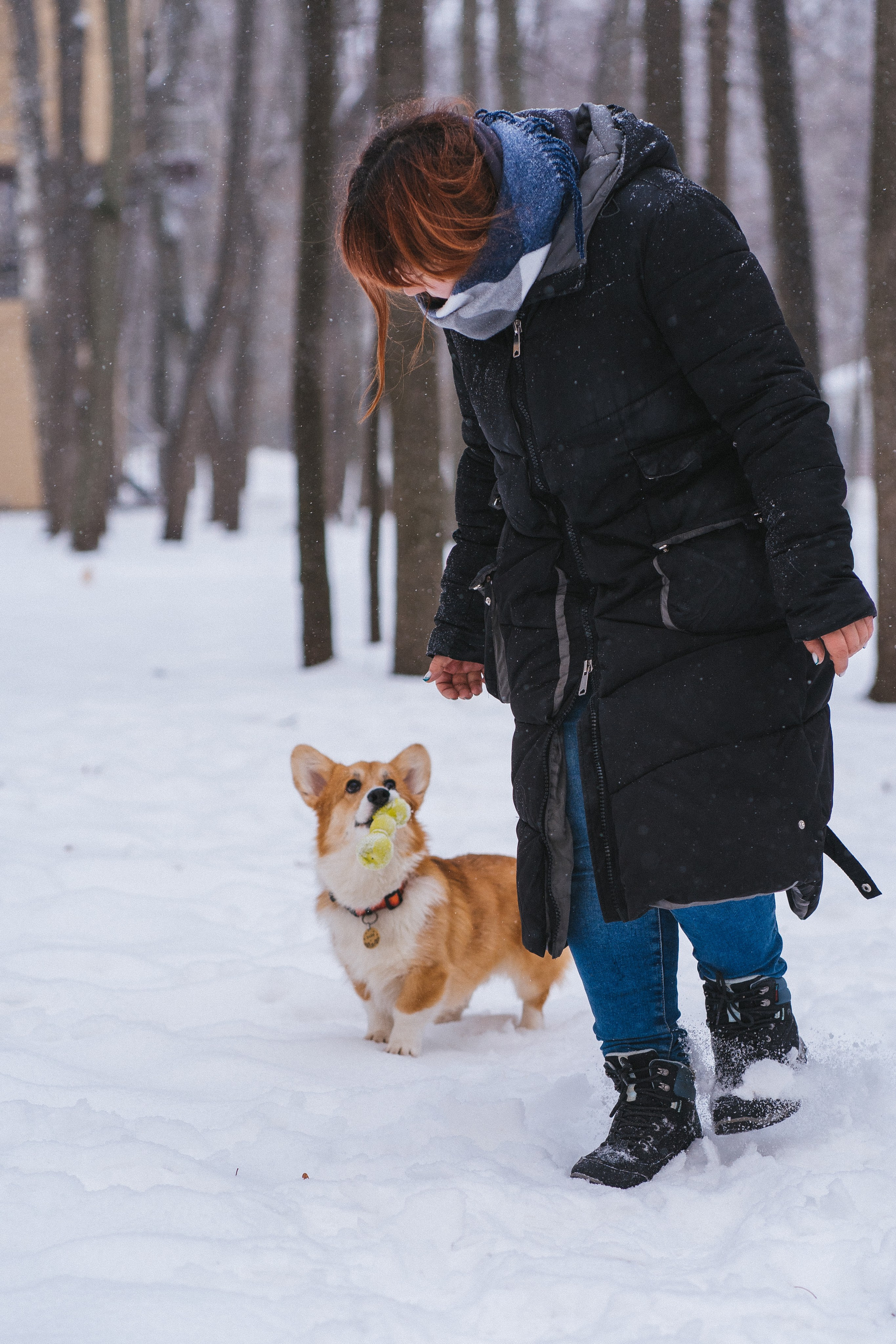 Агата и Лайк. Свадебный фотограф в Москве Анна Полушина