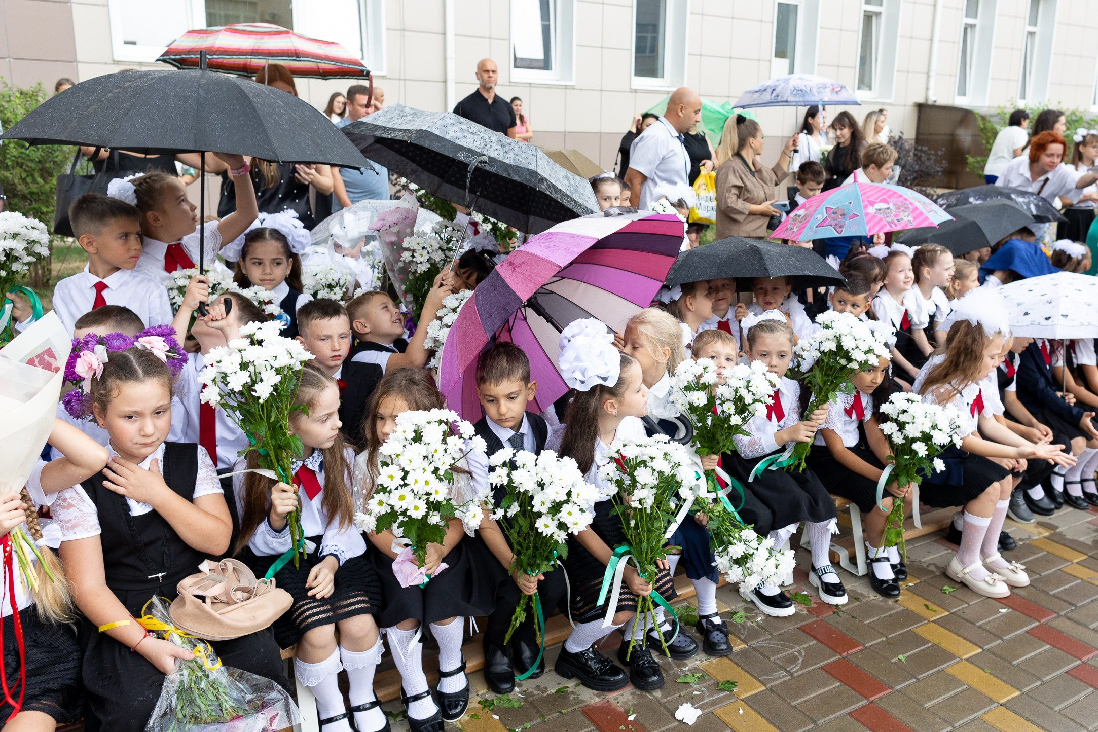 Школа № 61 им. Лавриненко, 1-е сентября | Фото. Фото и видеосъемка любых мероприятий в городе Краснодаре и Краснодарском крае. Щеколдин Антон