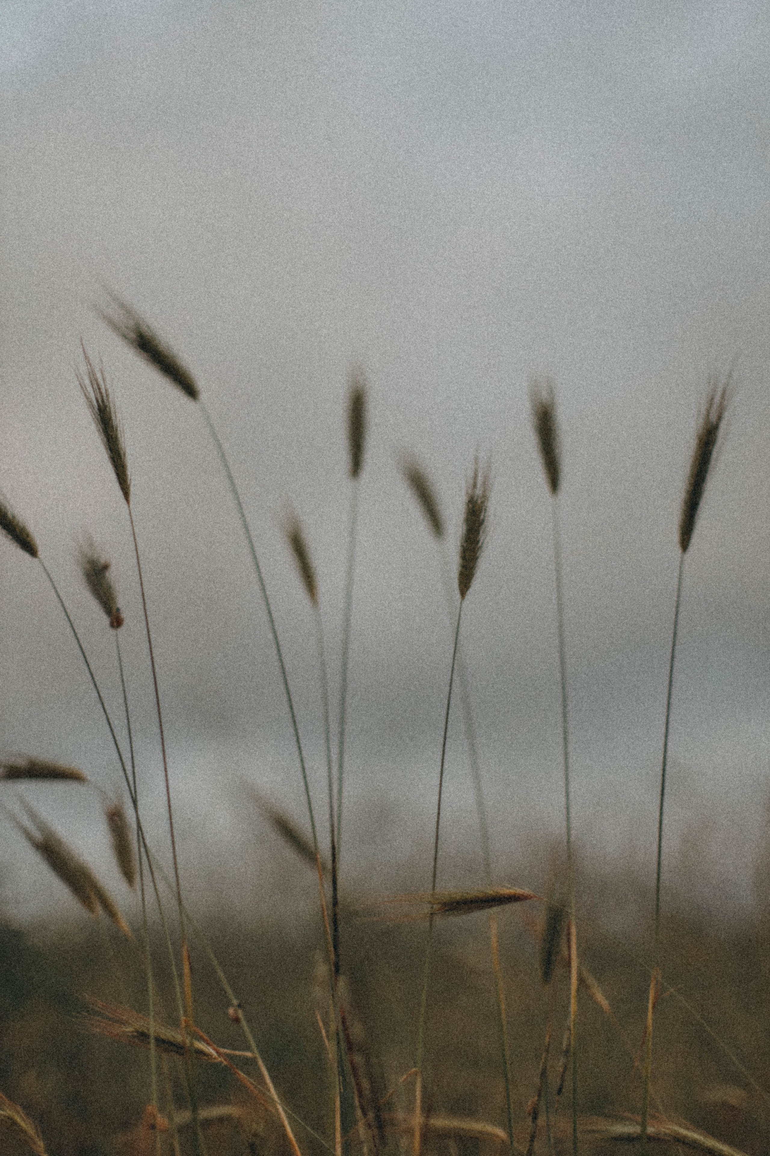 DETSTVO. Фотограф в Геленджике Елизавета Гудина