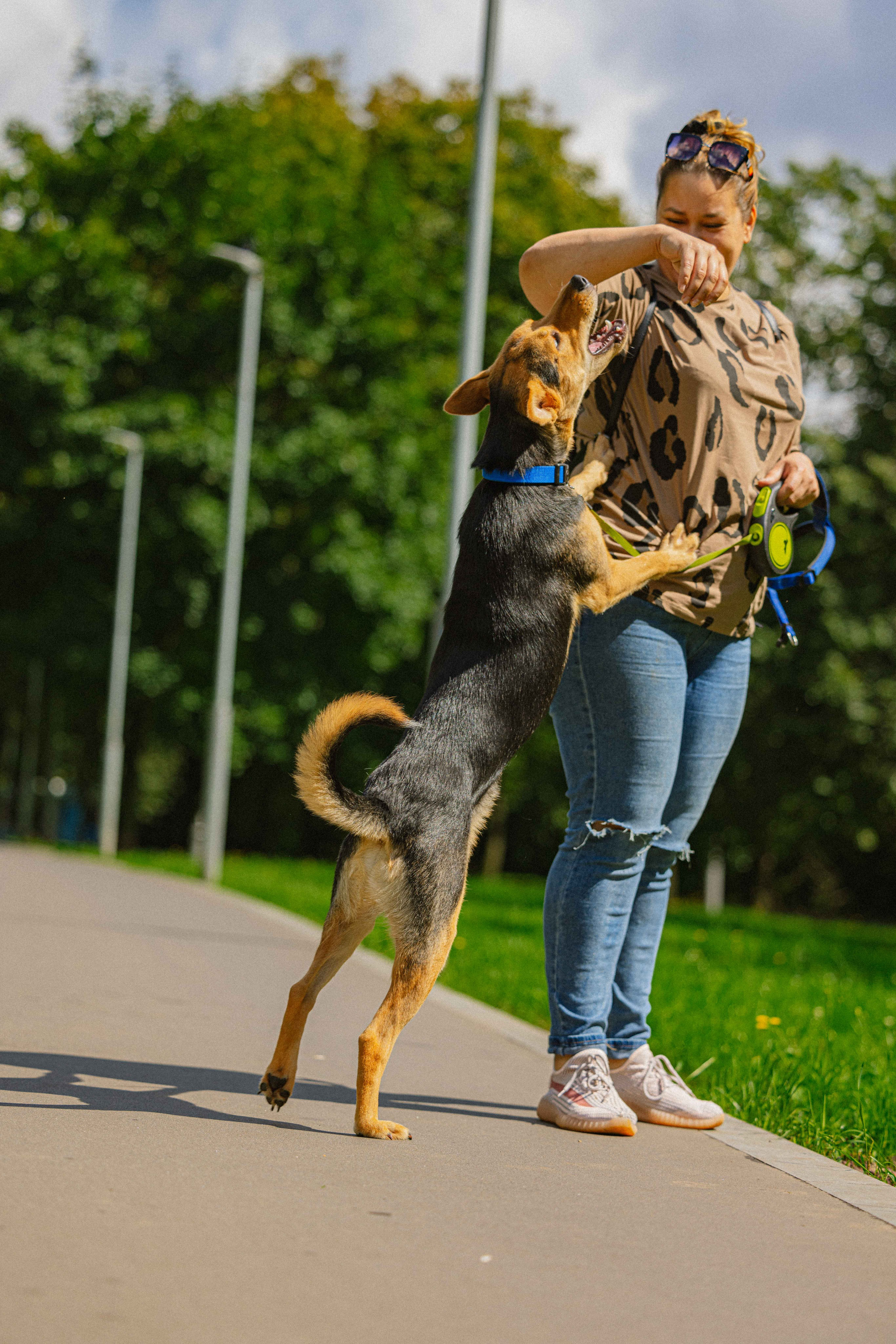 Джеки. Фотограф-анималист в Москве Лера Черноног