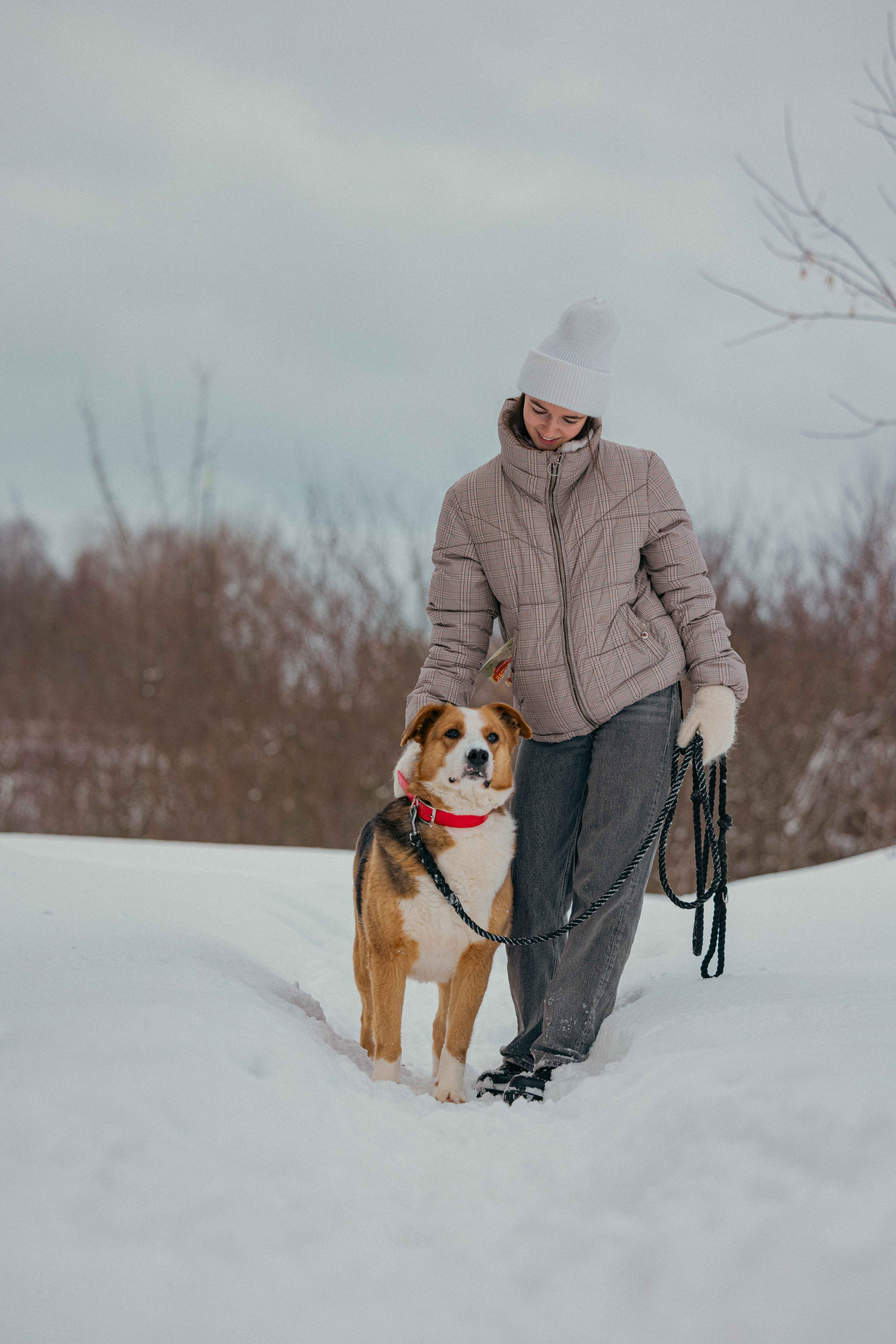 Петя. Фотограф-анималист в Москве Лера Черноног