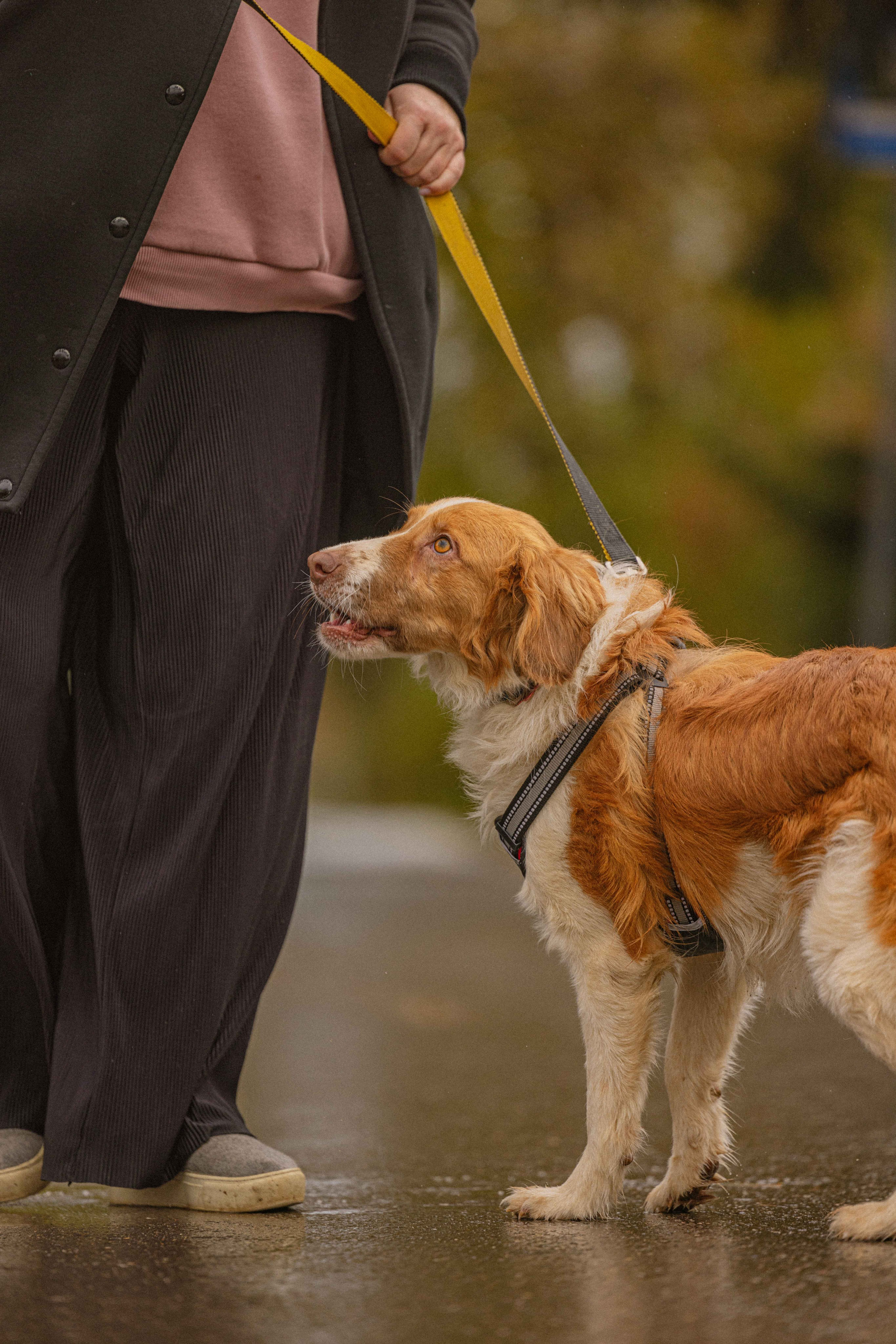 Передержка. Фотограф-анималист в Москве Лера Черноног