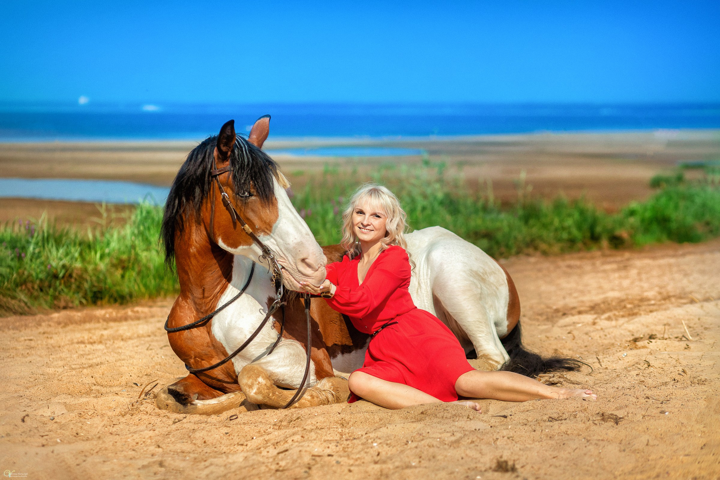 Фотосессии с лошадьми летом. Фотограф женский и мужской портрет Санкт-Петербург