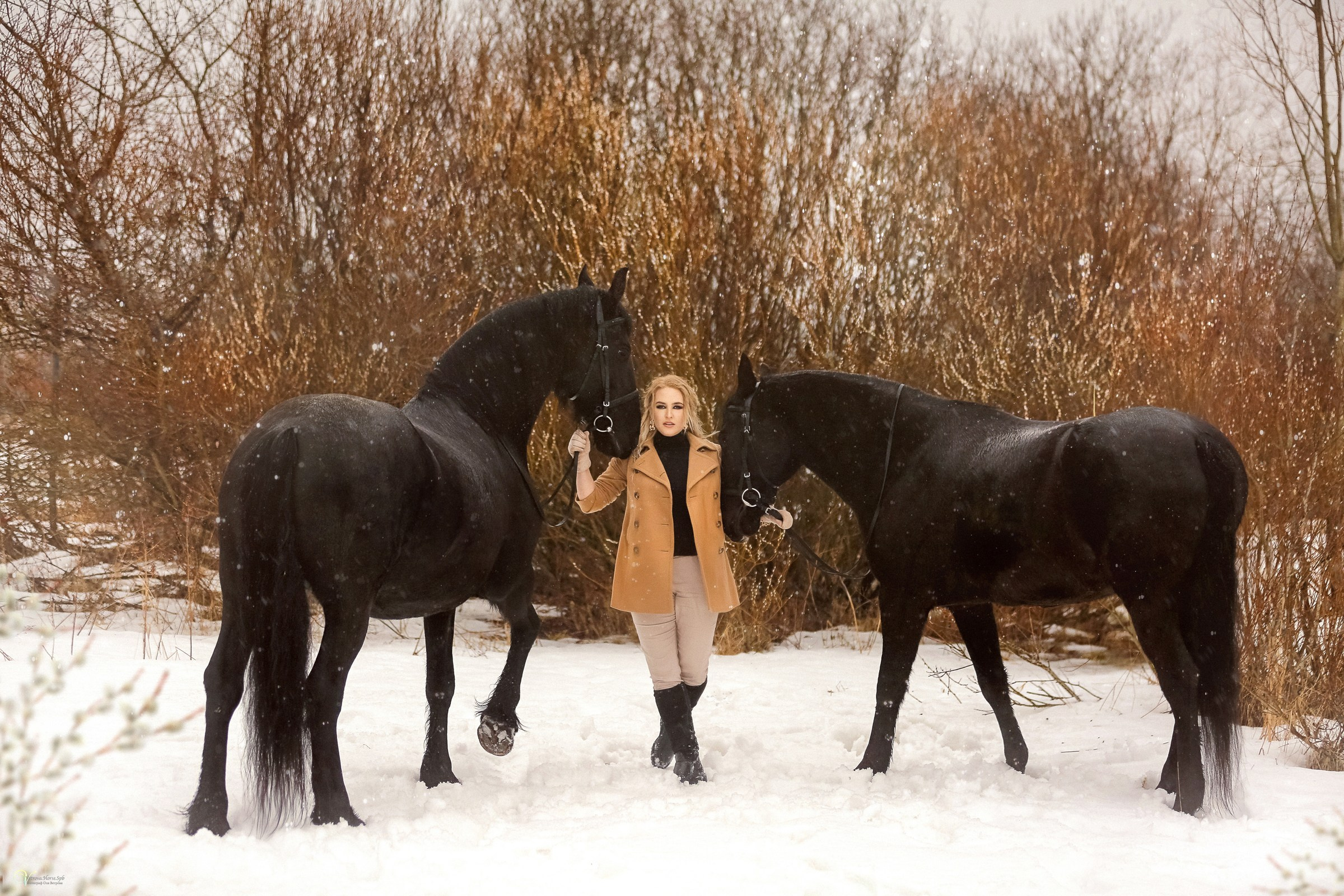 Фотосессии с лошадьми зимой. Фотограф женский и мужской портрет Санкт-Петербург