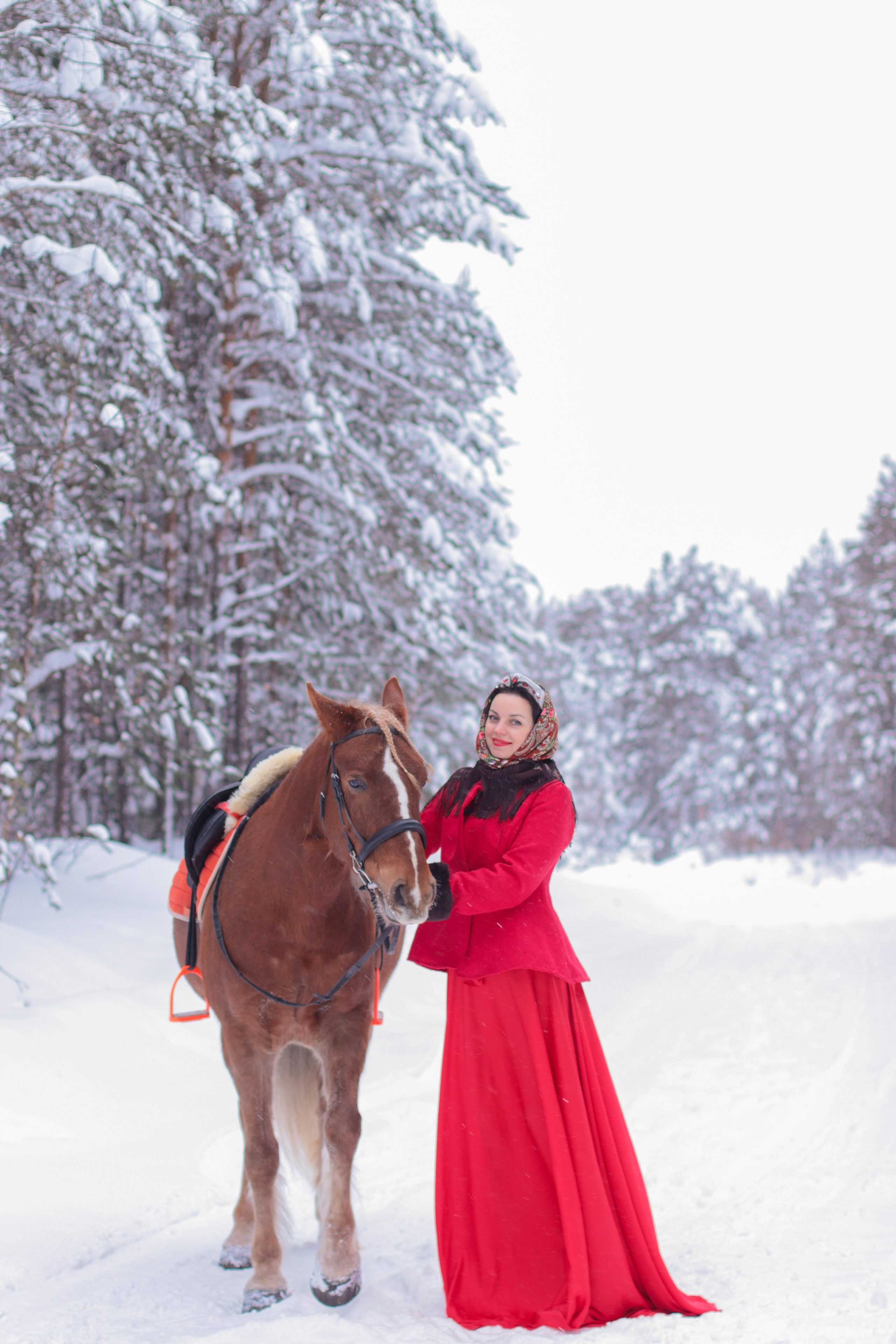Конные съемки зимой. Фотограф в Сургуте Брызгунова Анастасия