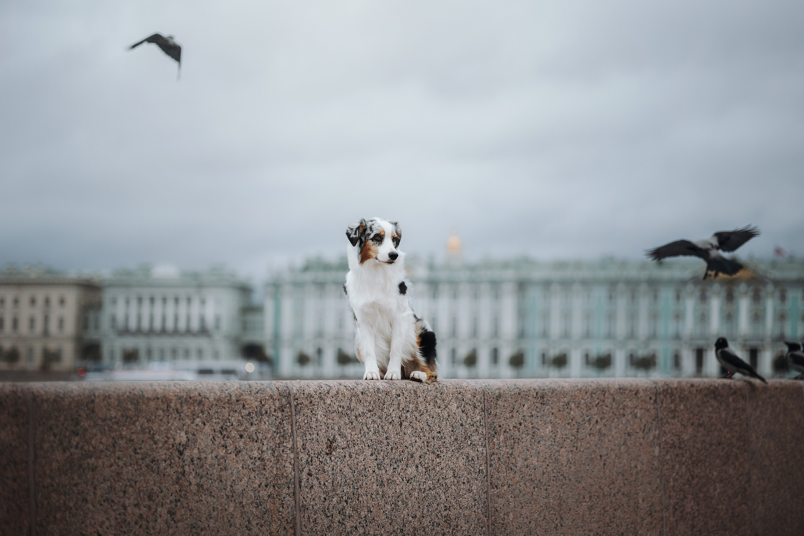 Ирина и Кайса. Фотограф — Анималист | Санкт-Петербург