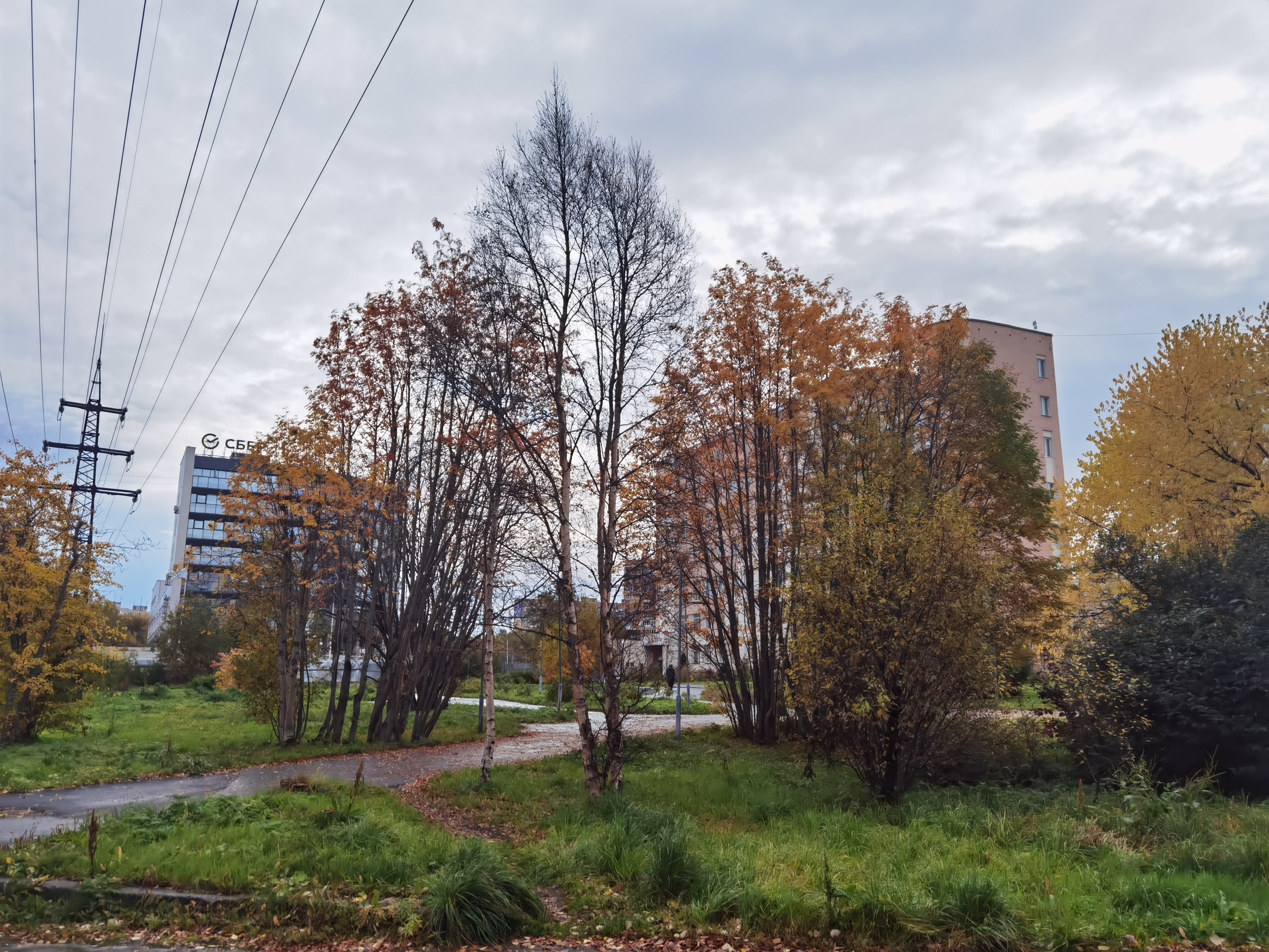Поездка в Мурманск. Заметки и фото. Елена Павленко. Фотограф. Москва