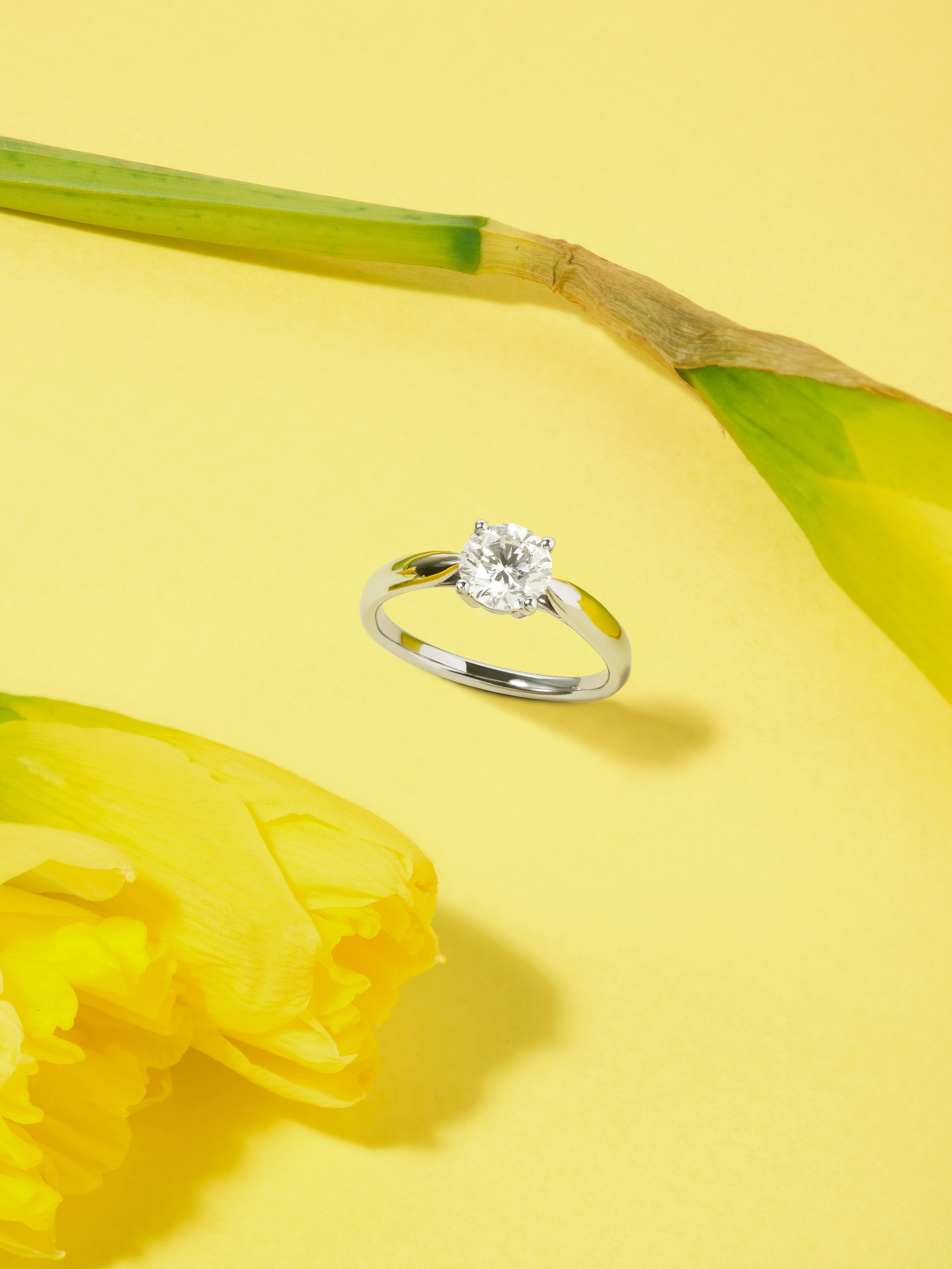 Фотосъемка ювелирных украшений. Предметный фотограф в Москве Анастасия Шаронина