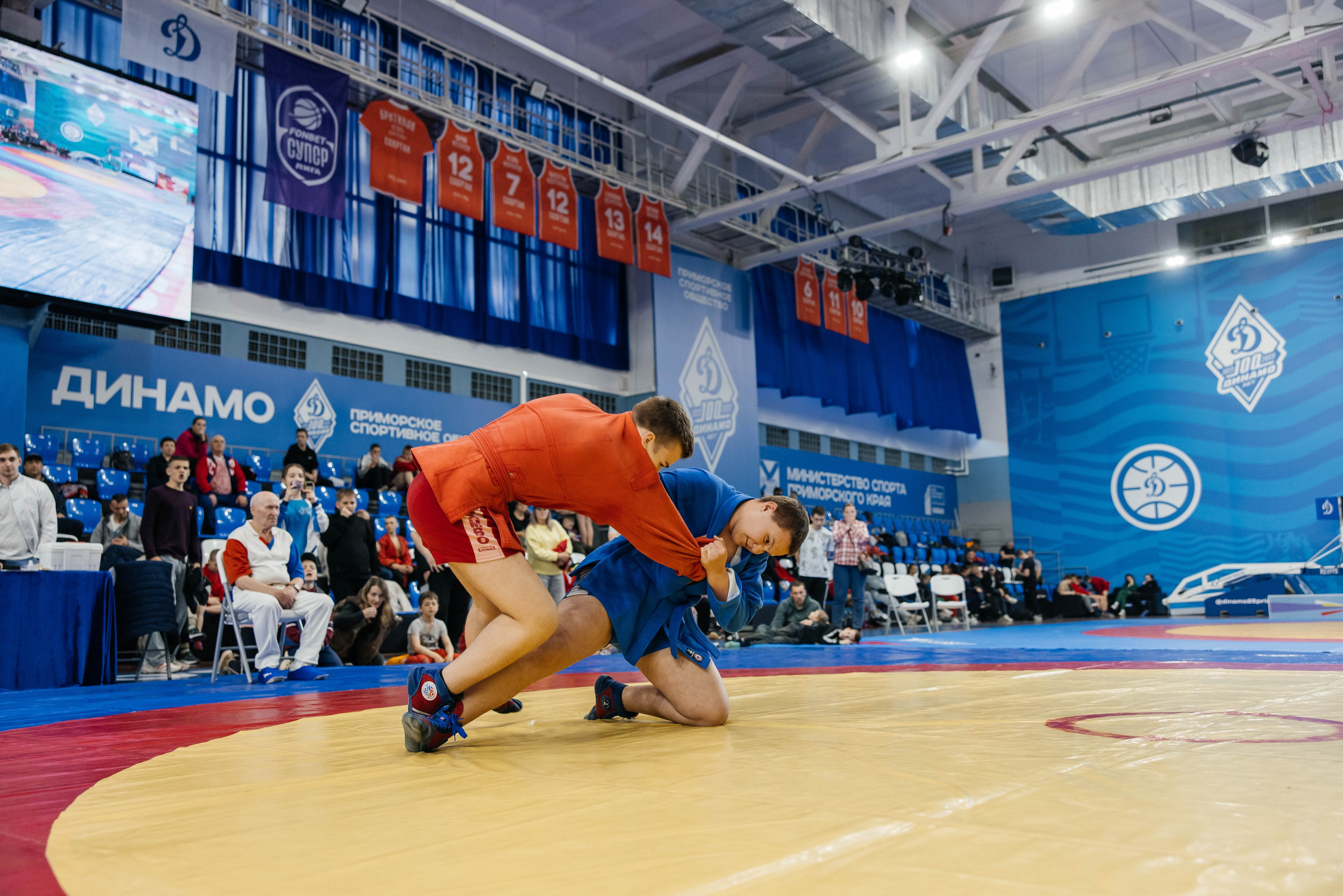 Sambo Championship. Maxim Tsoy Photography