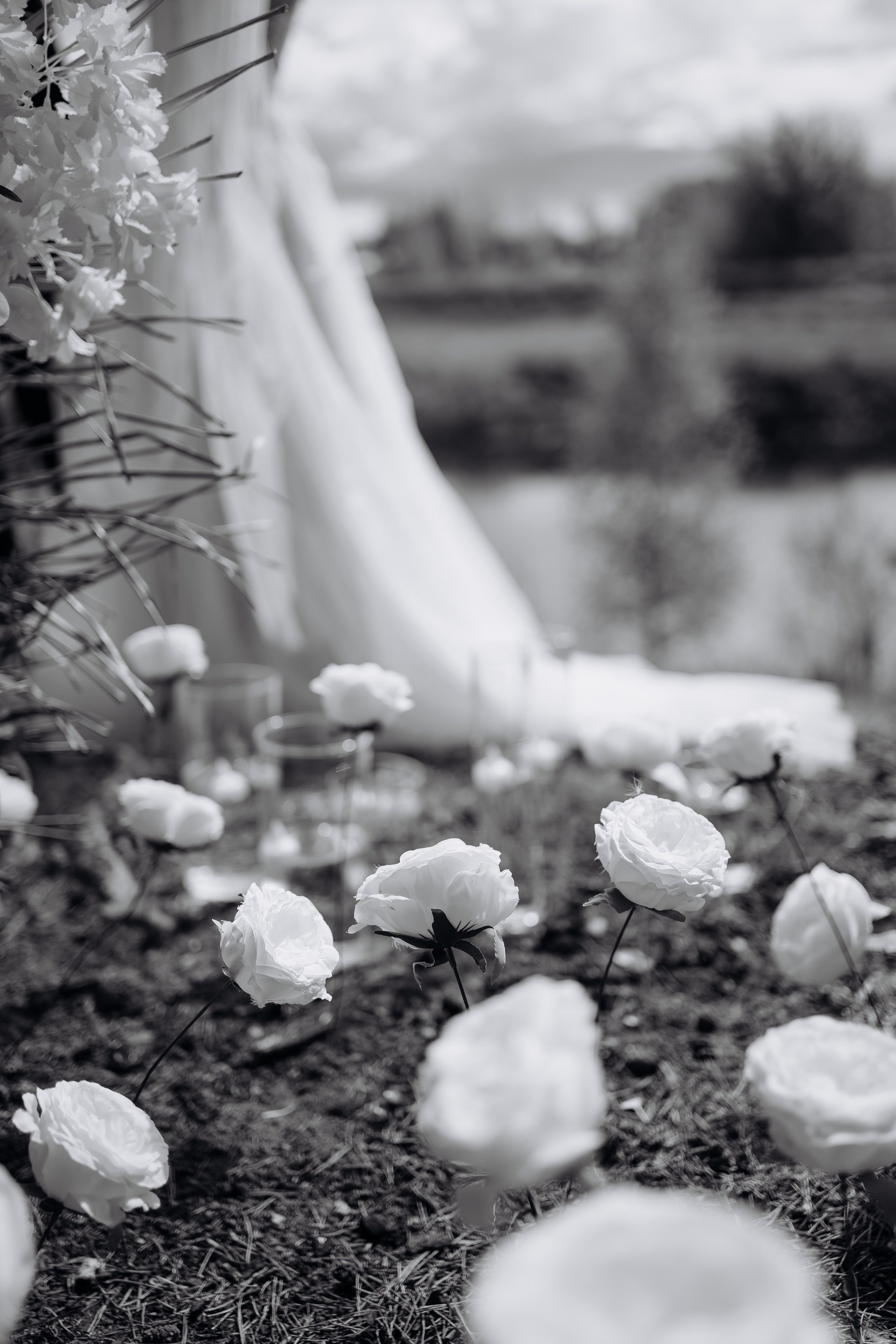 Ярославна и Артём. Фотограф Тверь. Анна Драго