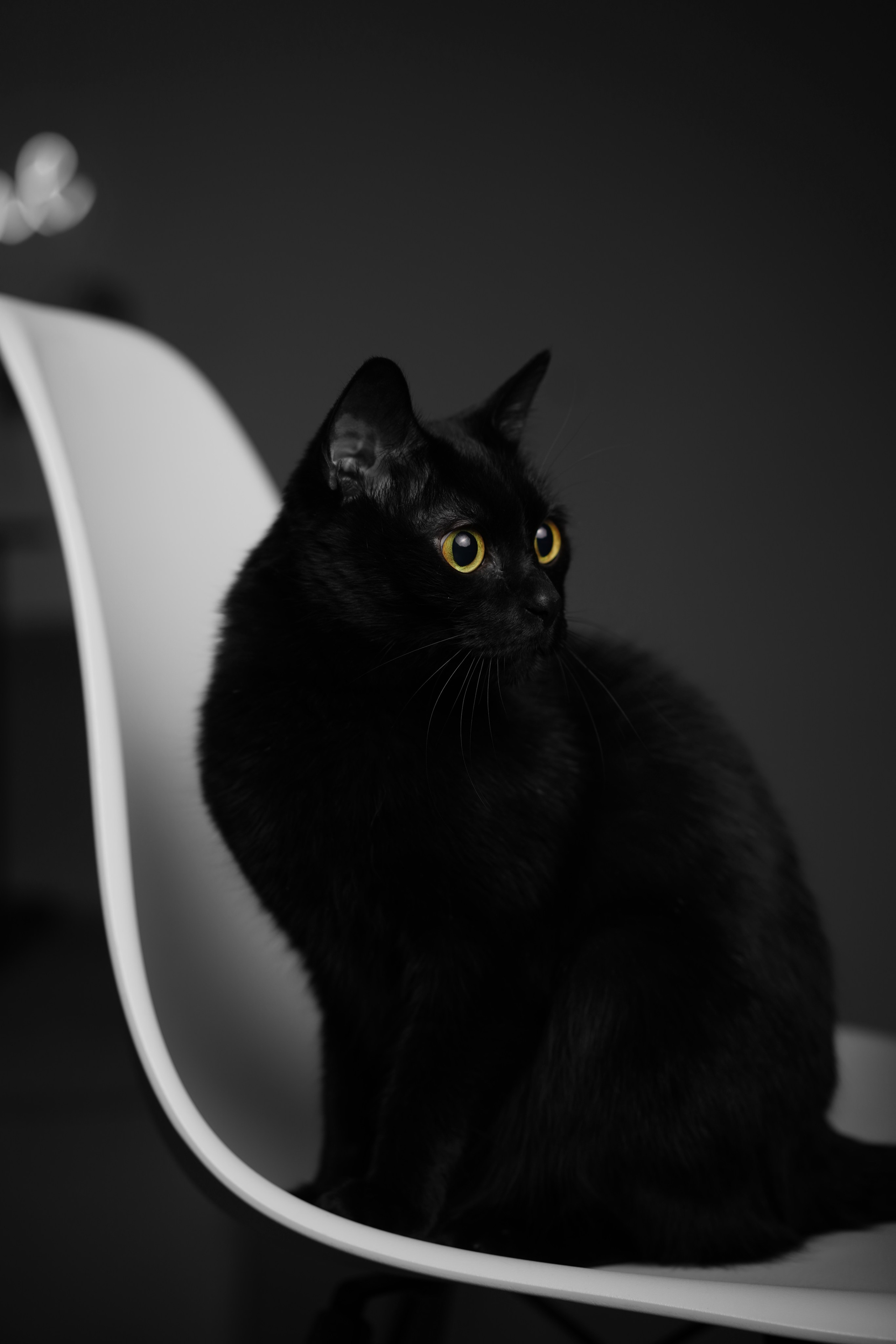 Фотограф в Хабаровске и Комсомольске-на-Амуре Евгений Федосеев