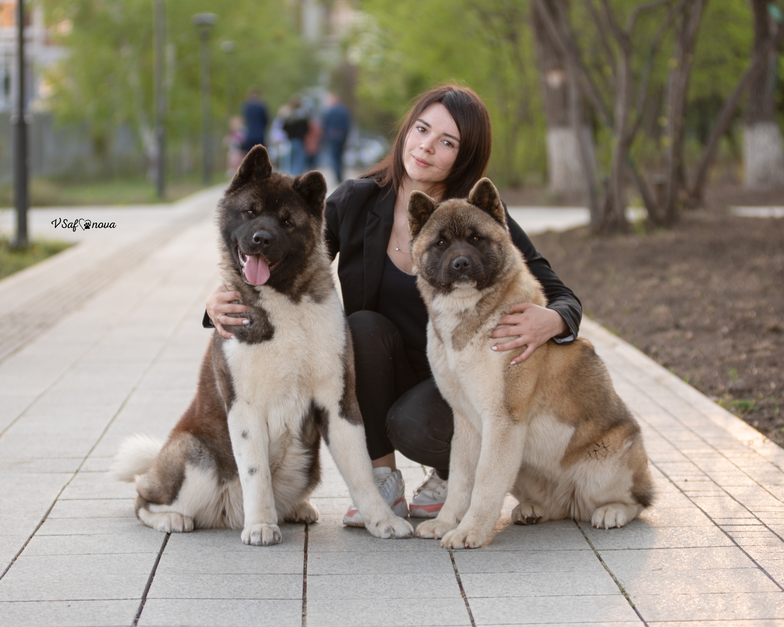 Наташа, Дора и Нева 19.05.2022. Фотограф анималист Благовещенск. Сафонова Виктория