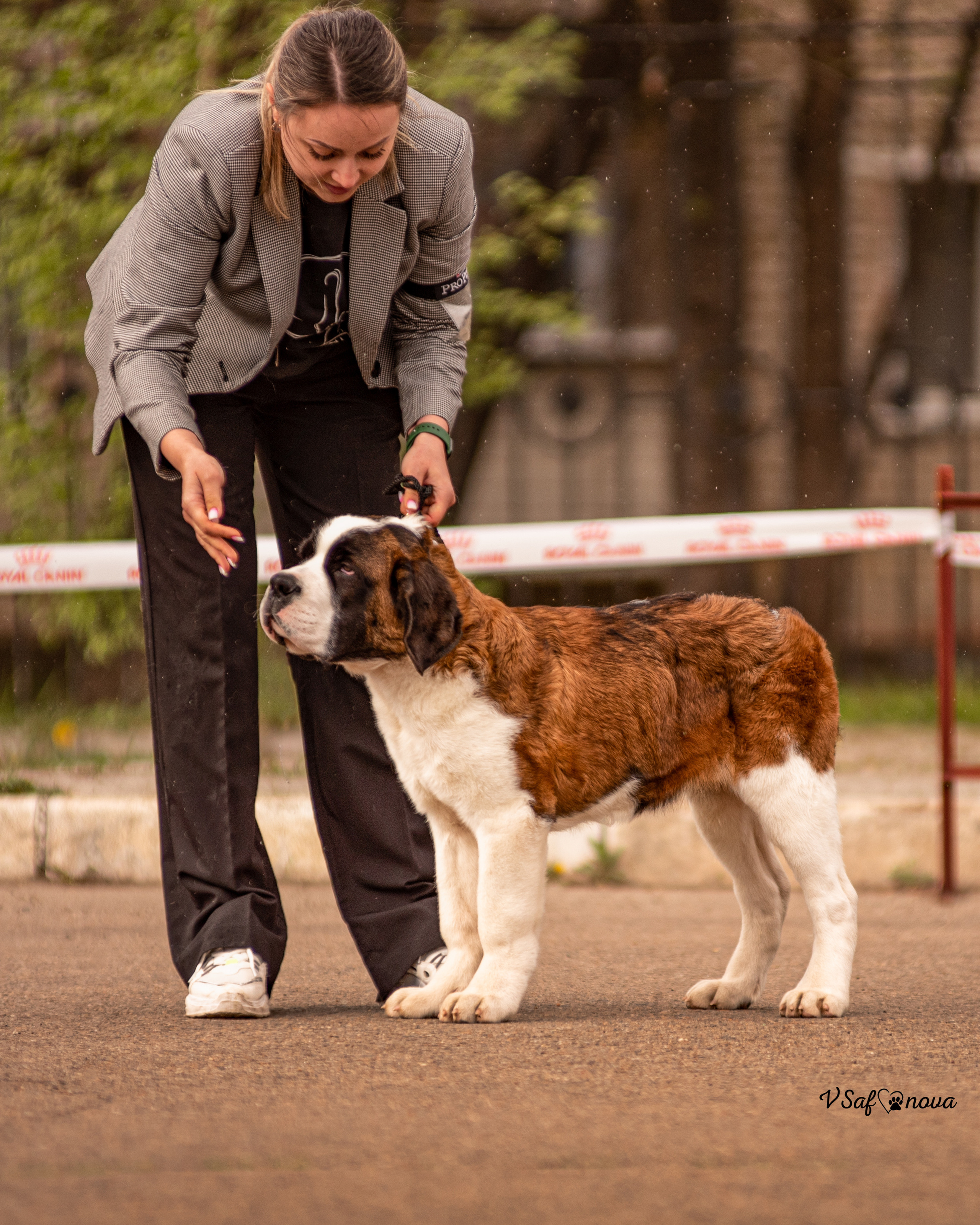 14–15 мая 2022 Благовещенск. Фотограф анималист Благовещенск. Сафонова Виктория