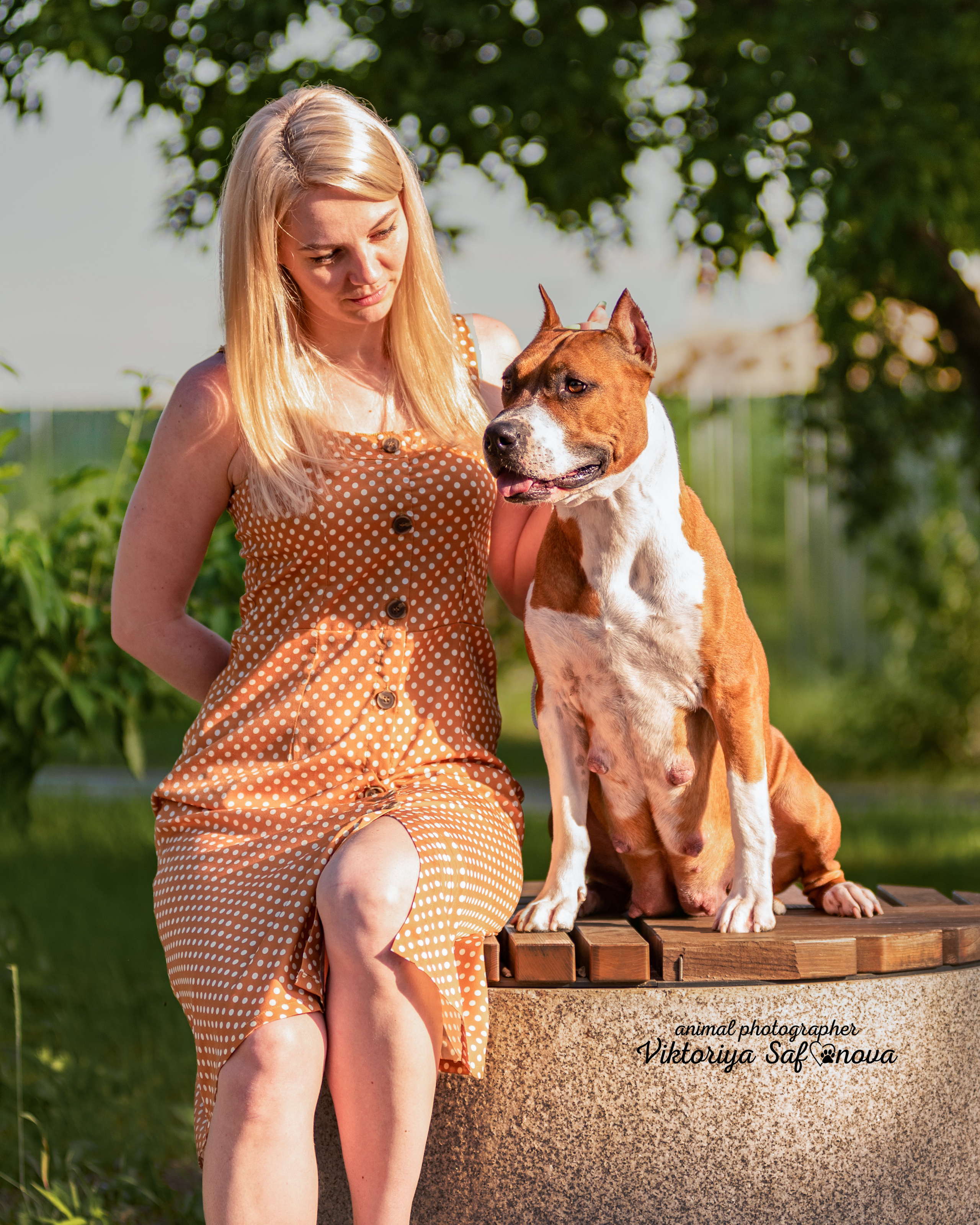 Аня и Гера 28.06.2022. Фотограф анималист Благовещенск. Сафонова Виктория