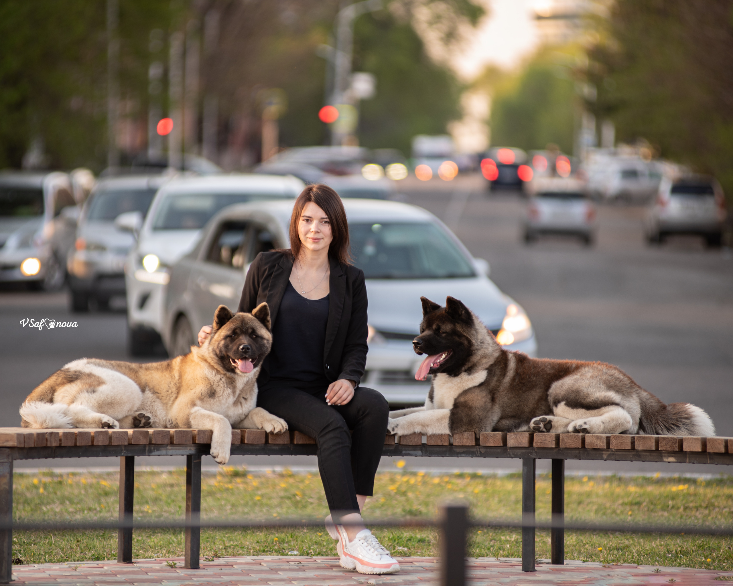 Наташа, Дора и Нева 19.05.2022. Фотограф анималист Благовещенск. Сафонова Виктория