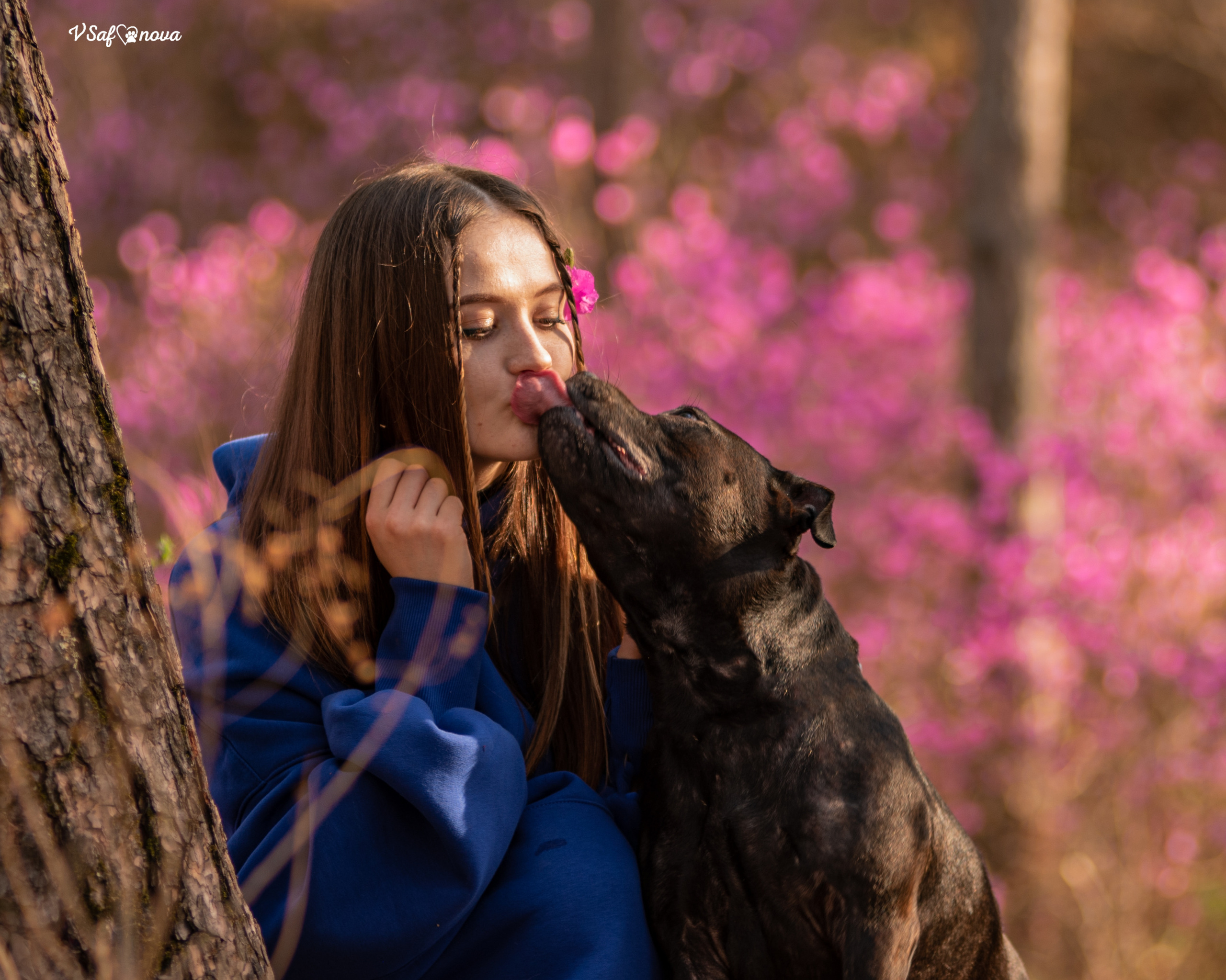 Вита, Егор, Фина и Робин 09.05.2022. Фотограф анималист Благовещенск. Сафонова Виктория