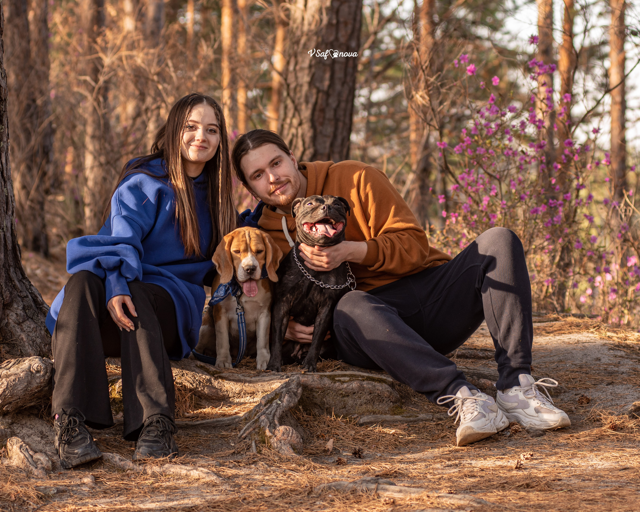 Вита, Егор, Фина и Робин 09.05.2022. Фотограф анималист Благовещенск. Сафонова Виктория