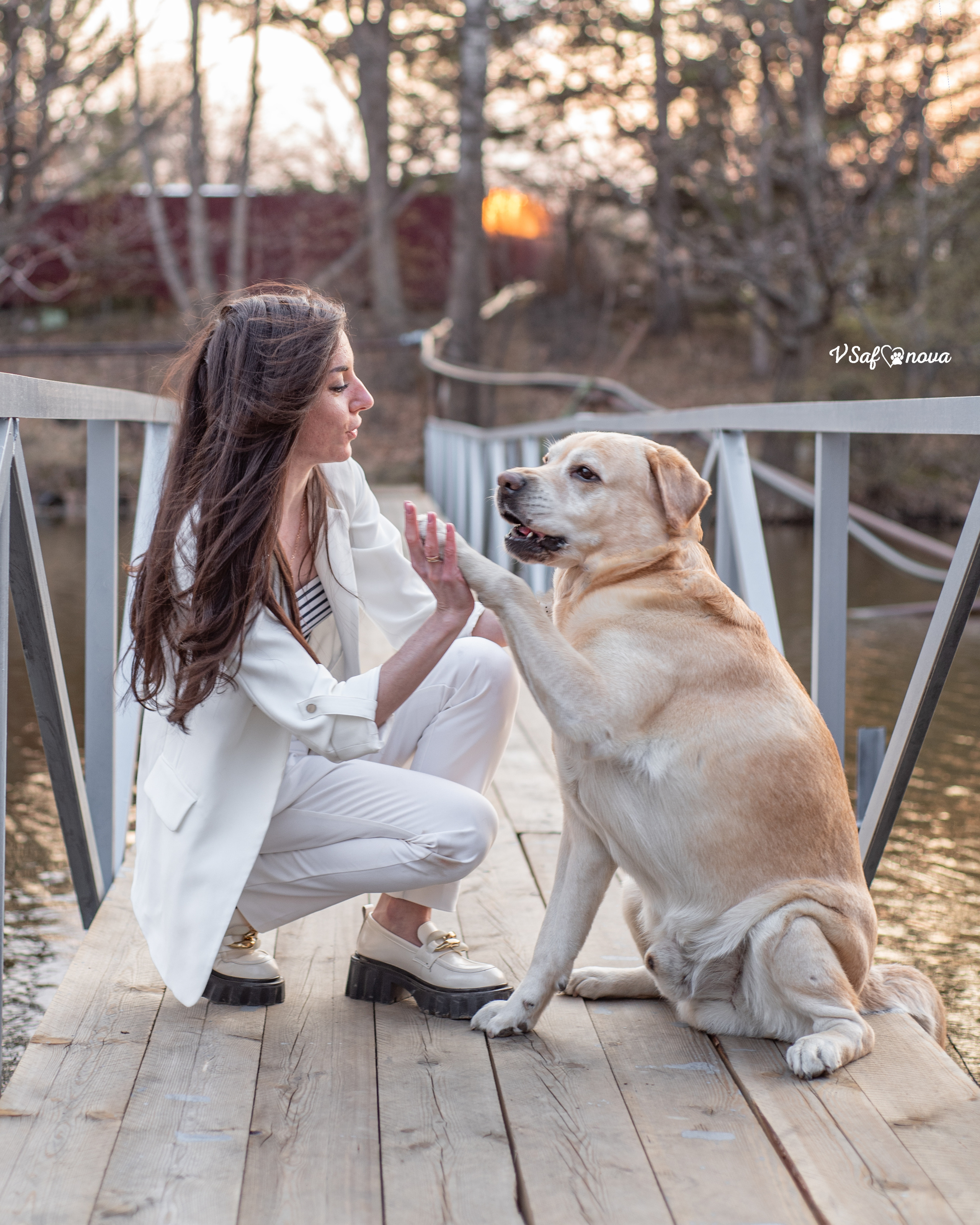 Юля, Локи, Скиф и Лея 30.04.2022. Фотограф анималист Благовещенск. Сафонова Виктория