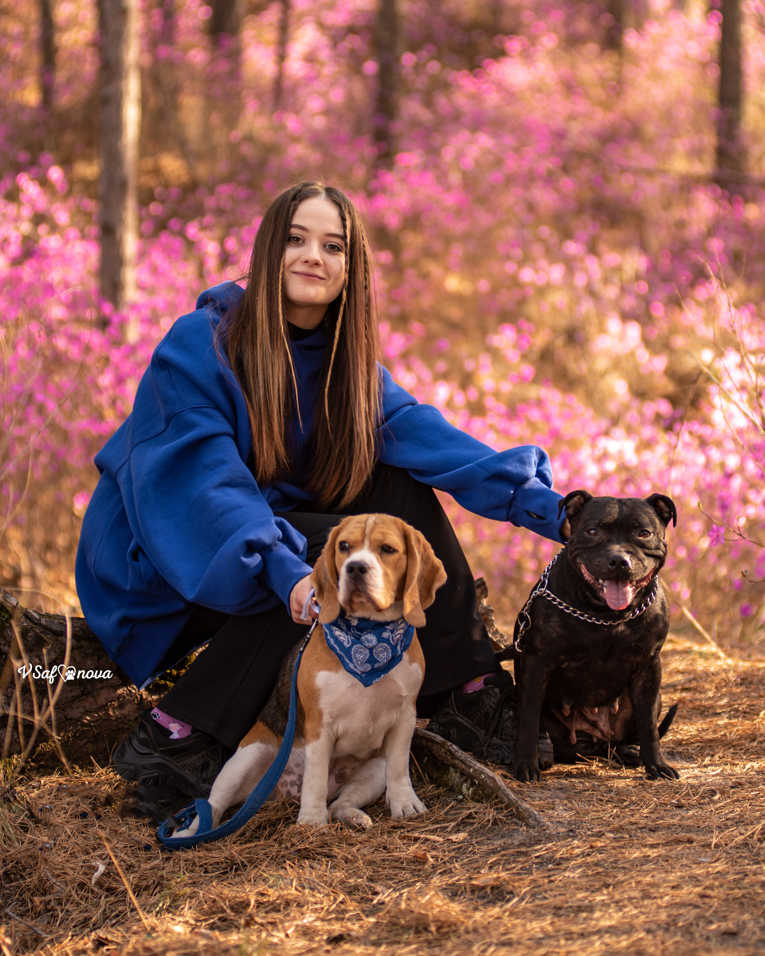 Вита, Егор, Фина и Робин 09.05.2022. Фотограф анималист Благовещенск. Сафонова Виктория