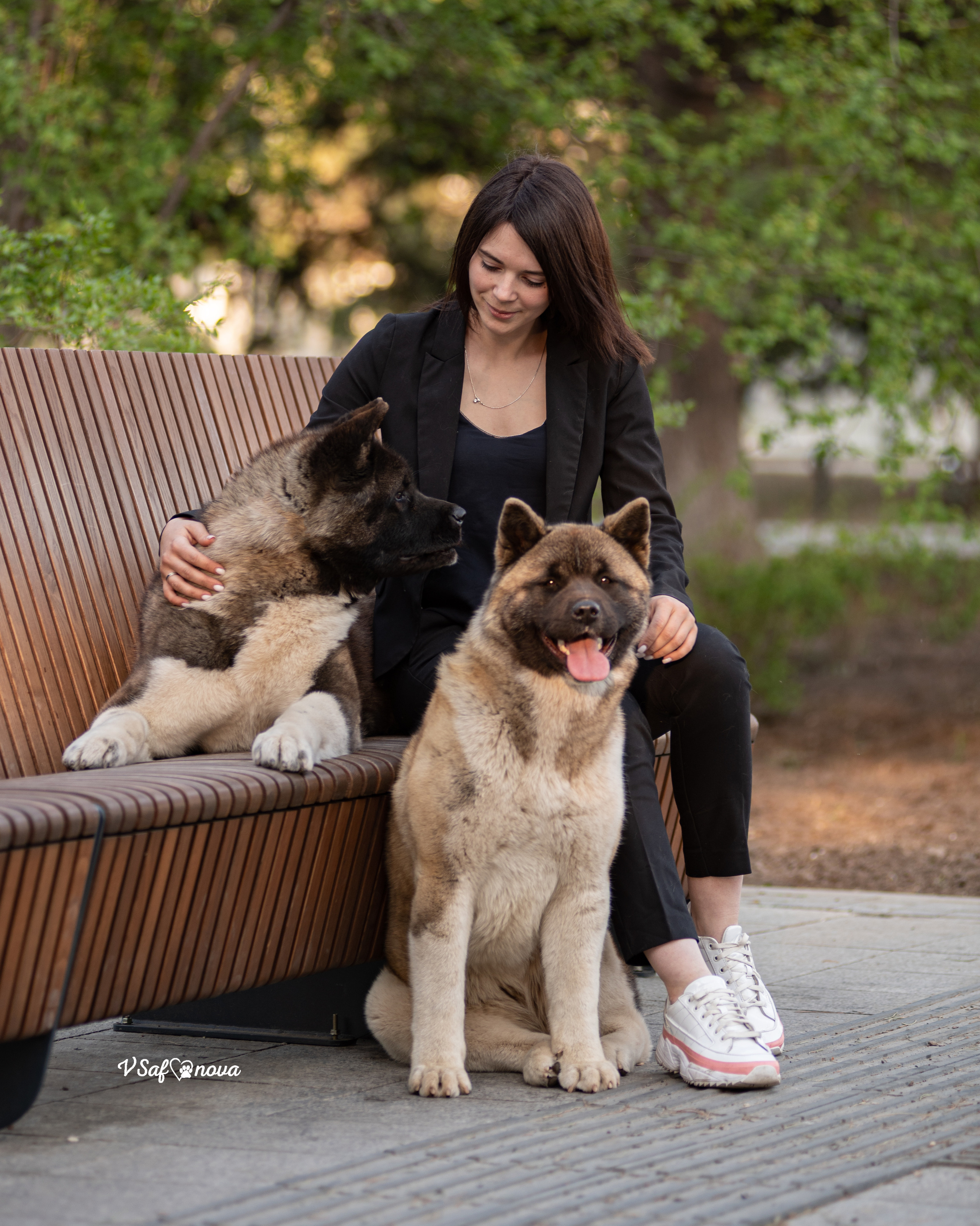 Наташа, Дора и Нева 19.05.2022. Фотограф анималист Благовещенск. Сафонова Виктория