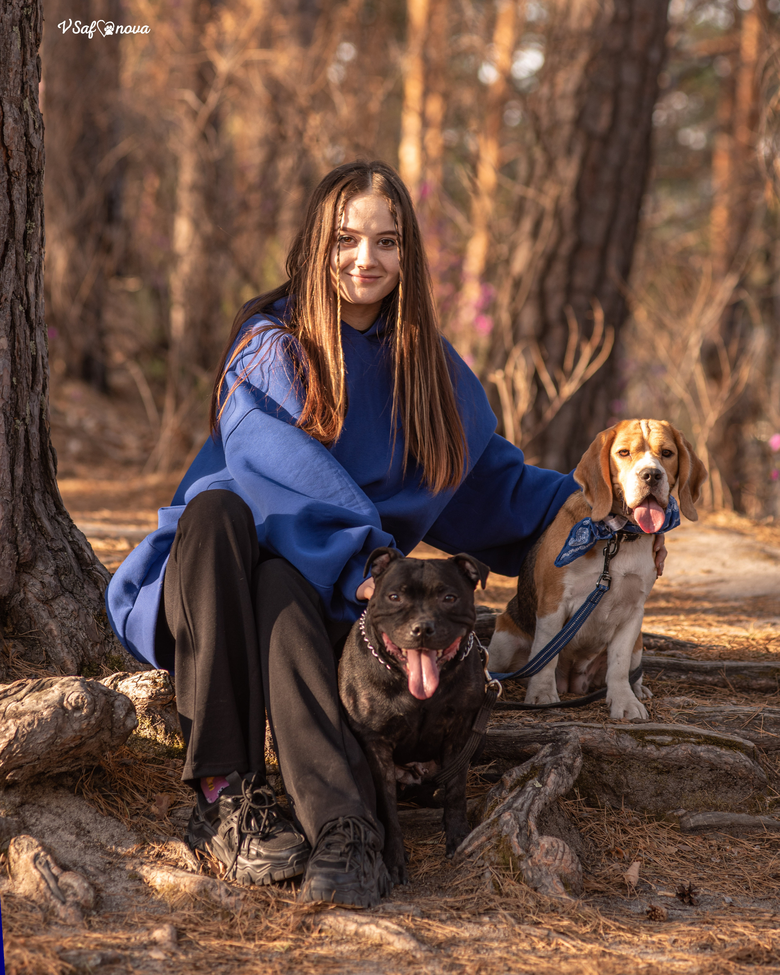 Вита, Егор, Фина и Робин 09.05.2022. Фотограф анималист Благовещенск. Сафонова Виктория