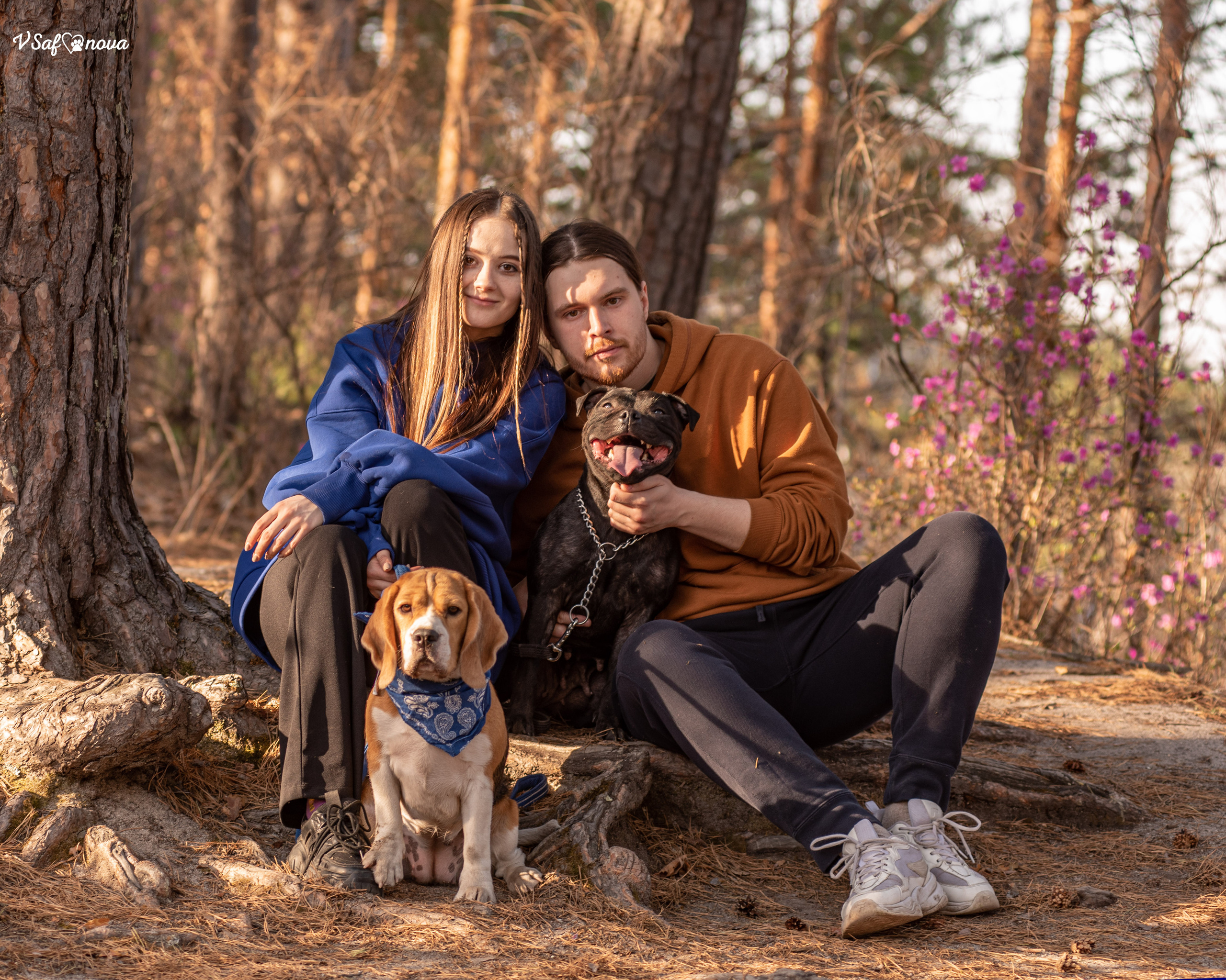 Вита, Егор, Фина и Робин 09.05.2022. Фотограф анималист Благовещенск. Сафонова Виктория