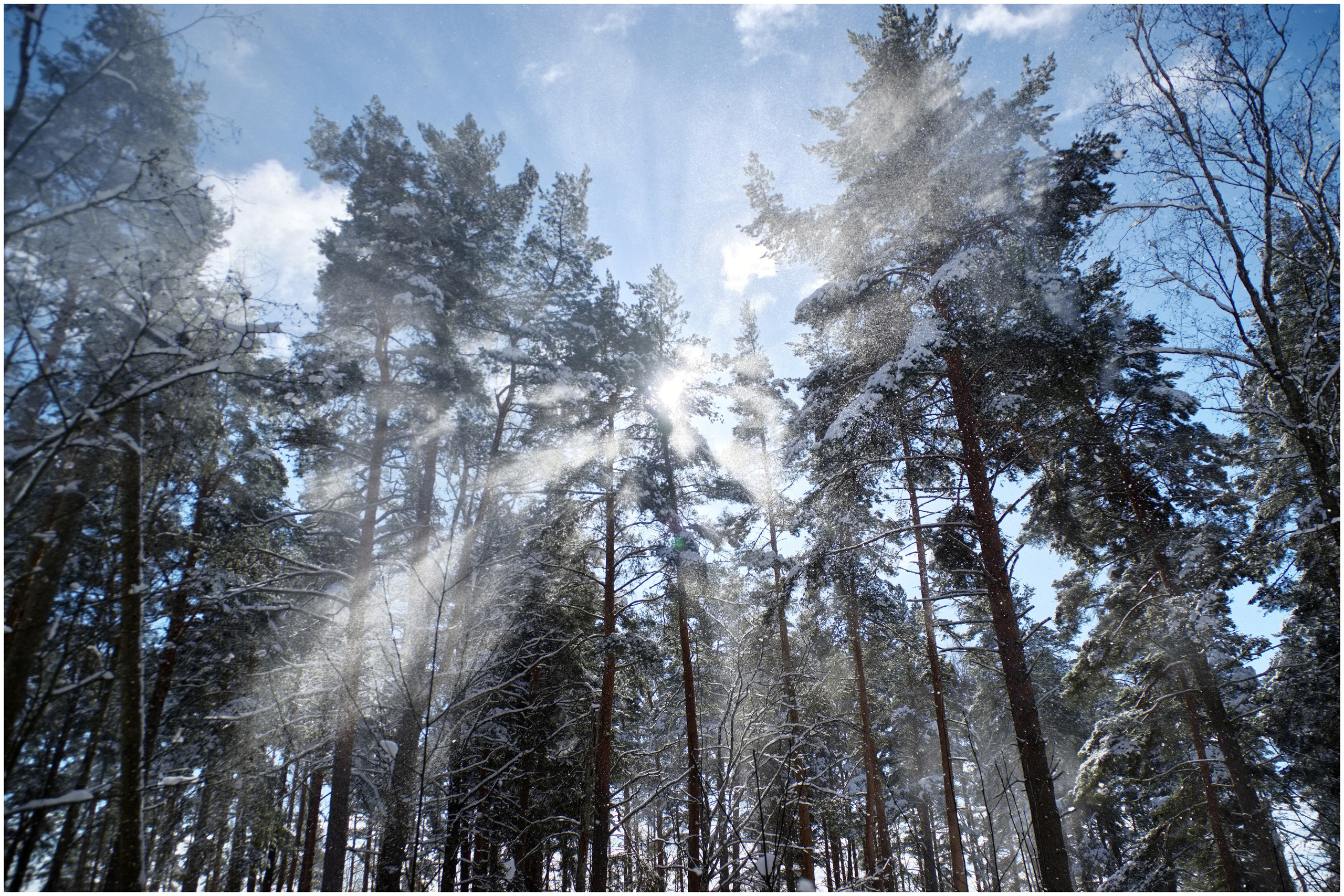 Пейзаж. Вадим Шейдин