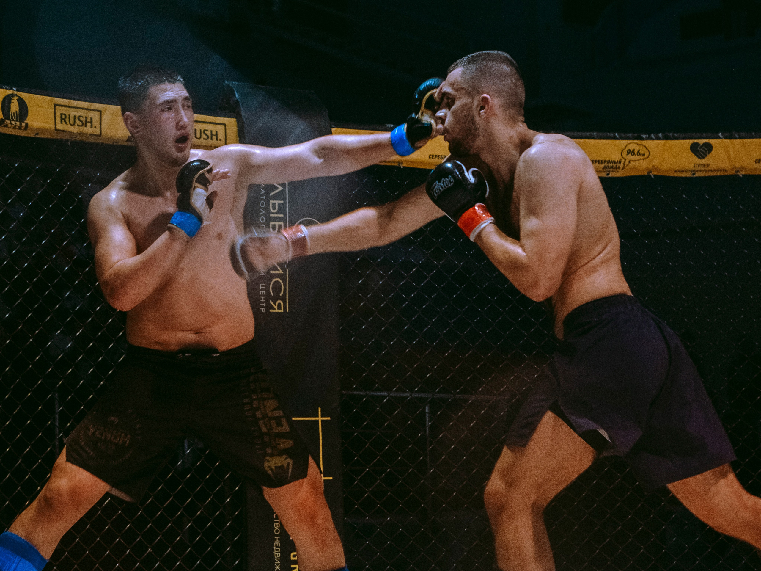 SFL 17 | Siberian Fighting League. Портретный фотограф в Москве Дарья Цезария