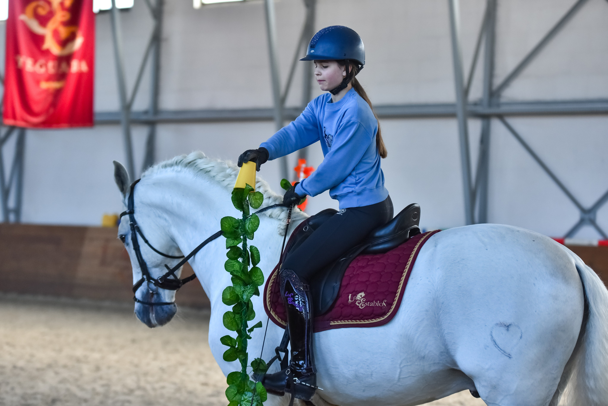 Репортажная съемка конных мероприятий. Конный фотограф из Москвы Ирина Бондаркова