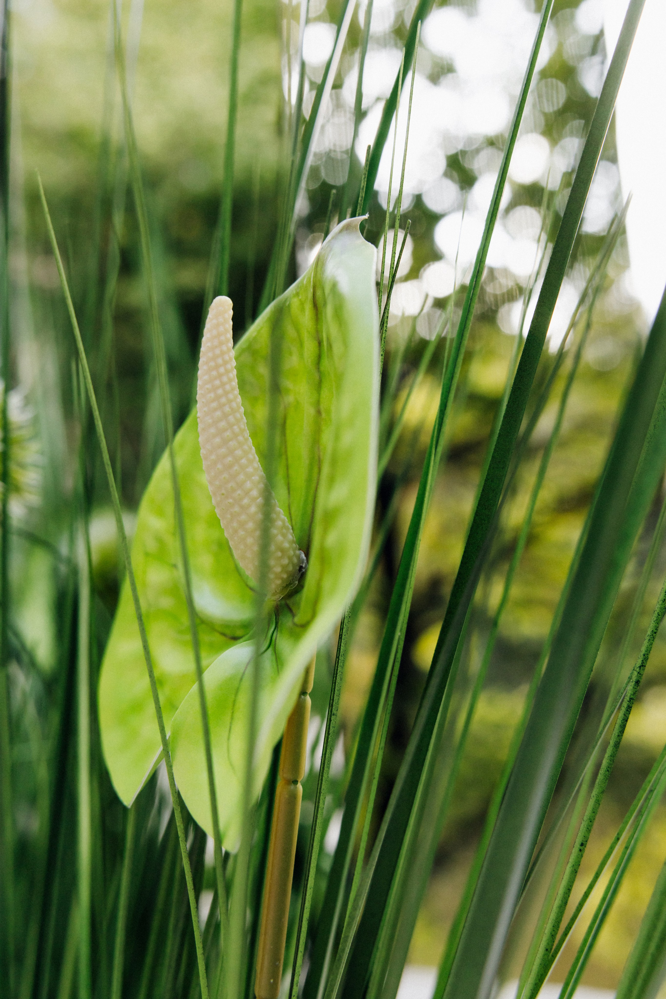 Денис и Елизавета. Фотограф в Красноярске