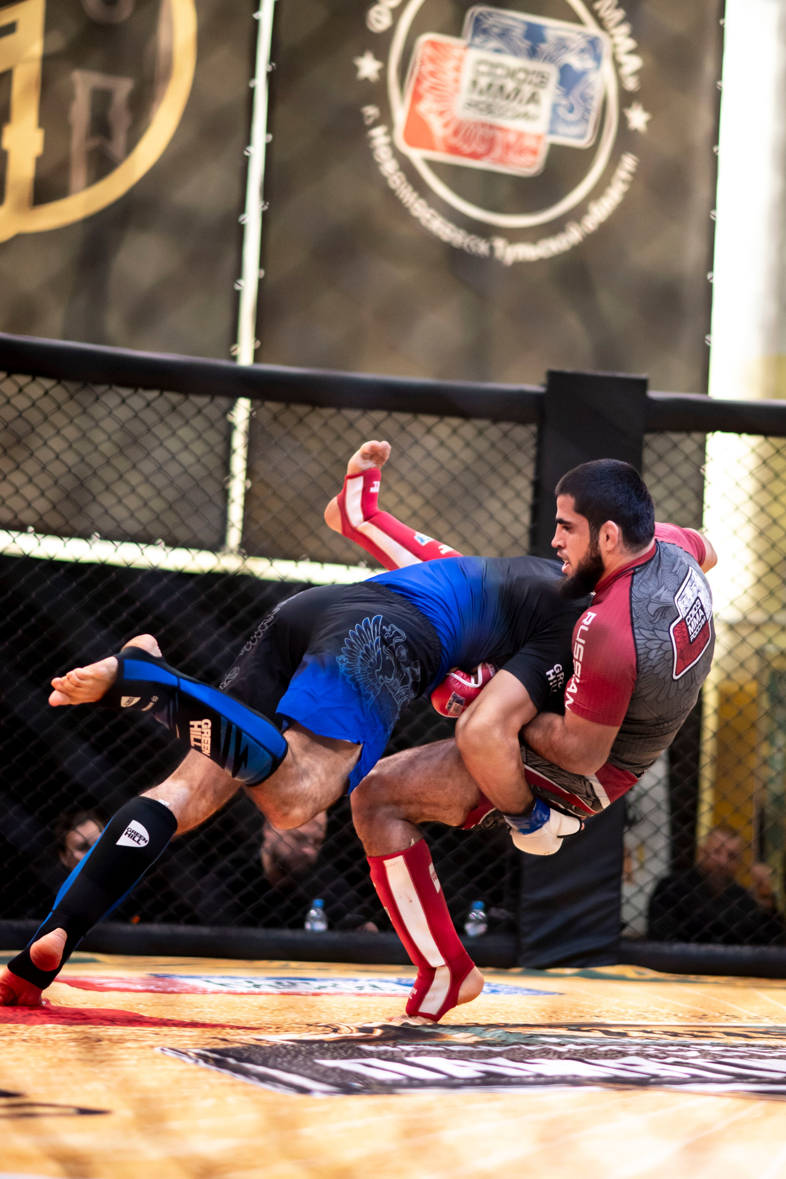 Всероссийский турнир ММА. Новомосковск, ноябрь 2025. Спортивный фотограф в Туле и Тульской области. Файсханова Фото Спорт