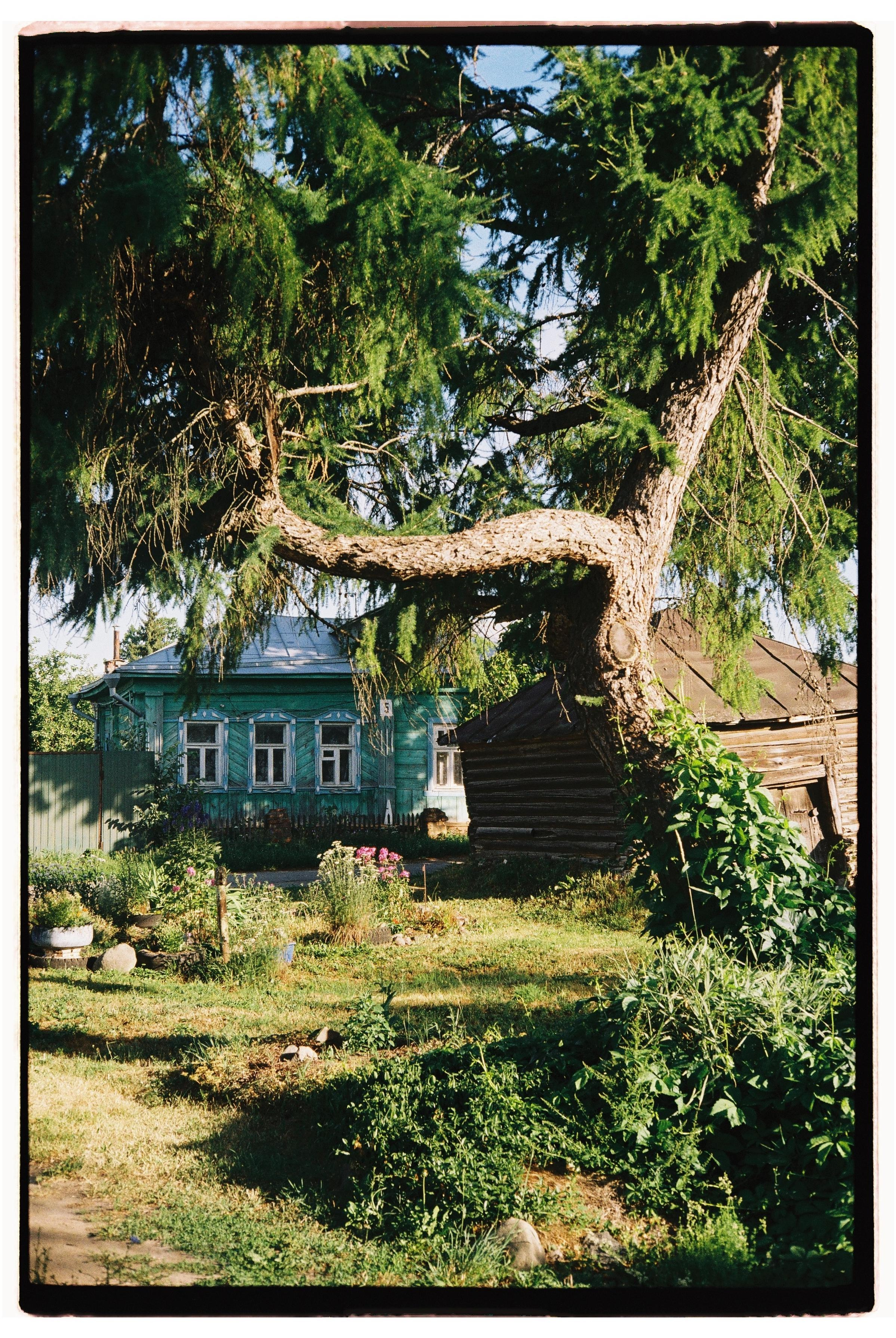 Suzdal. @tomrus: Рустам Шагиморданов — фотограф