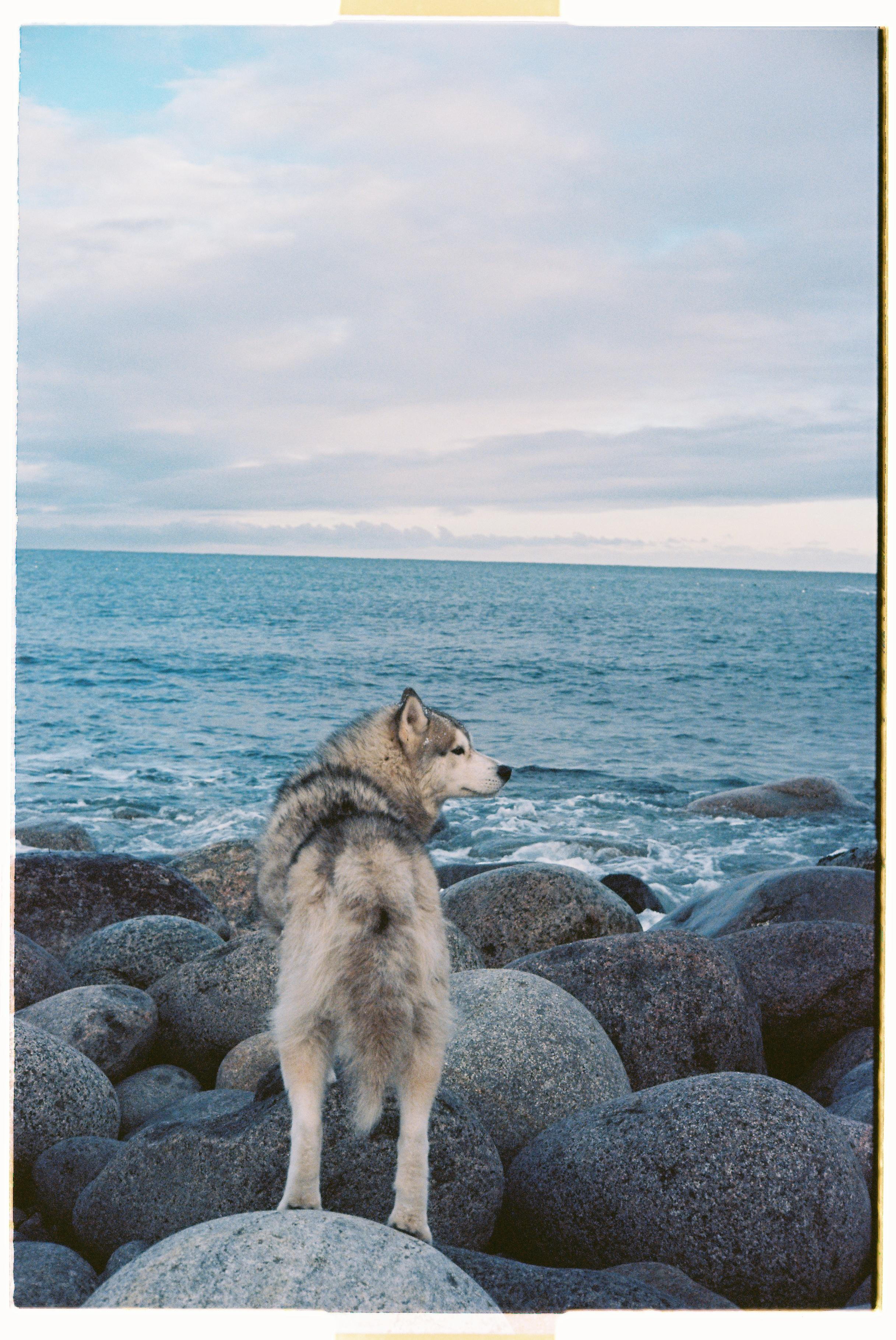 Teriberka. @tomrus: Рустам Шагиморданов — фотограф