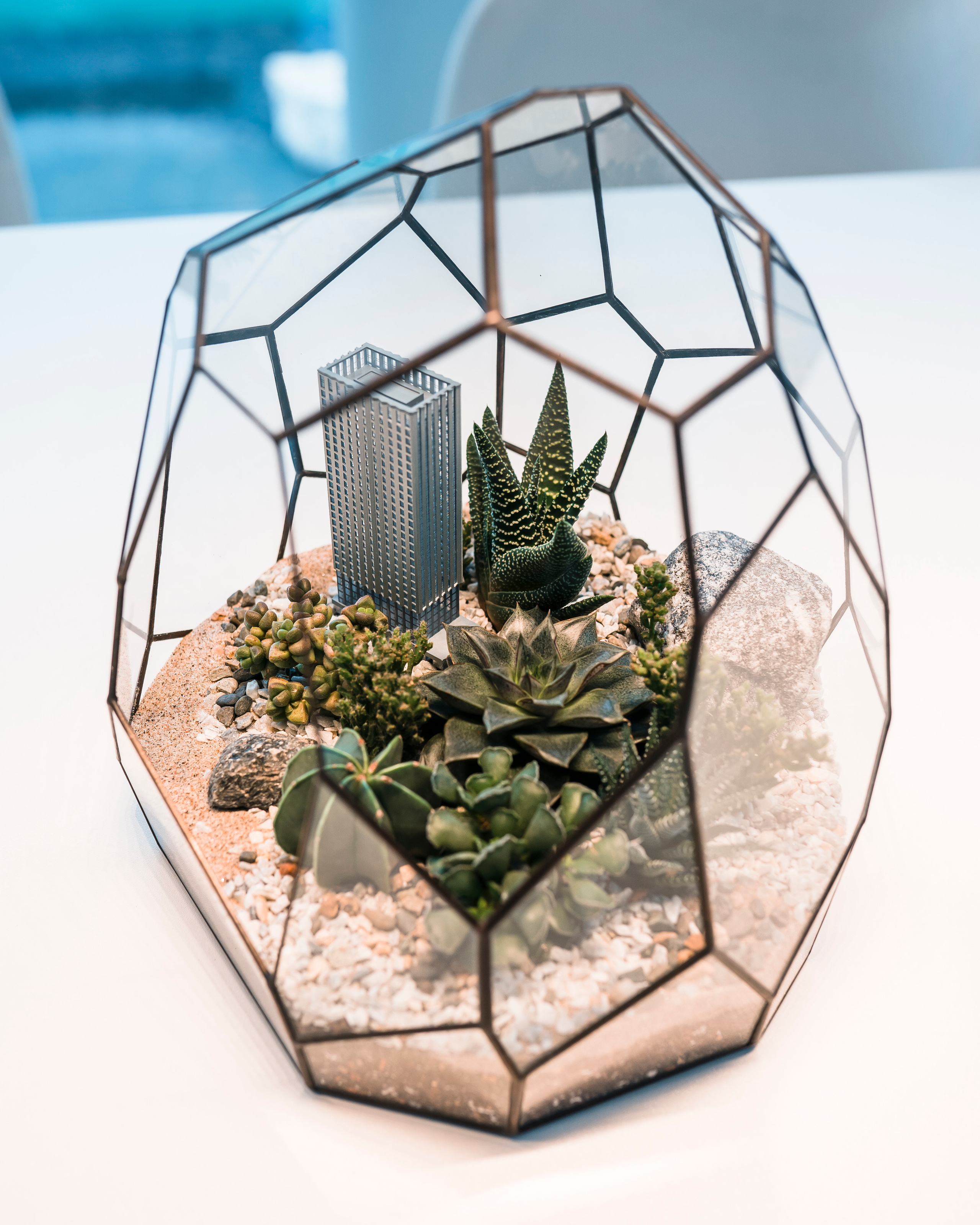 Moments, FORMA. @tomrus: Рустам Шагиморданов — фотограф