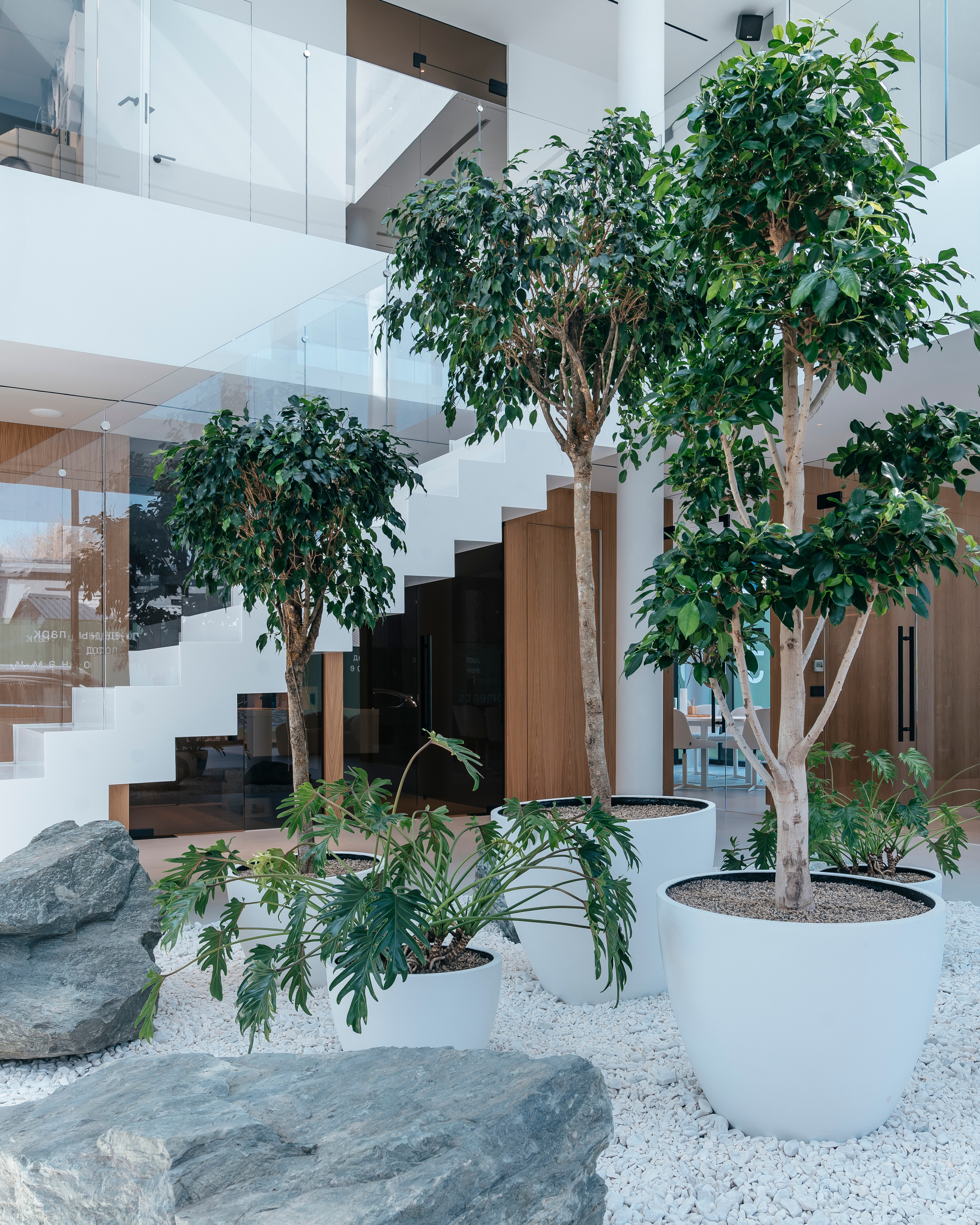 Moments, FORMA. @tomrus: Рустам Шагиморданов — фотограф