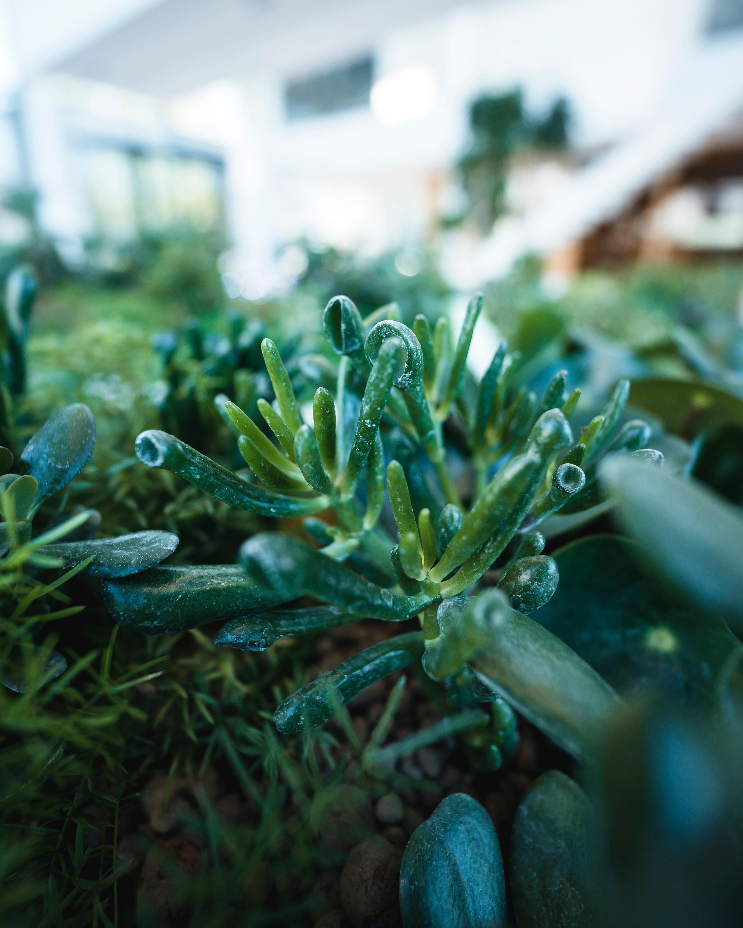 Moments, FORMA. @tomrus: Рустам Шагиморданов — фотограф