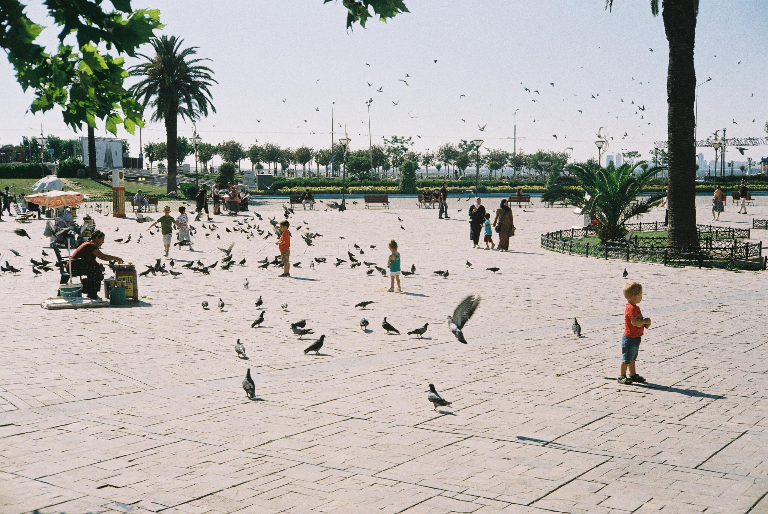 Kuşadası & Izmir. @tomrus: Рустам Шагиморданов — фотограф