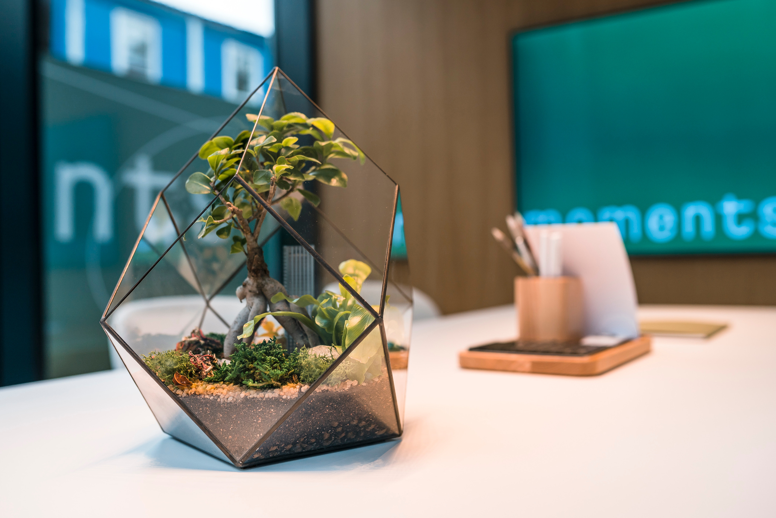 Moments, FORMA. @tomrus: Рустам Шагиморданов — фотограф