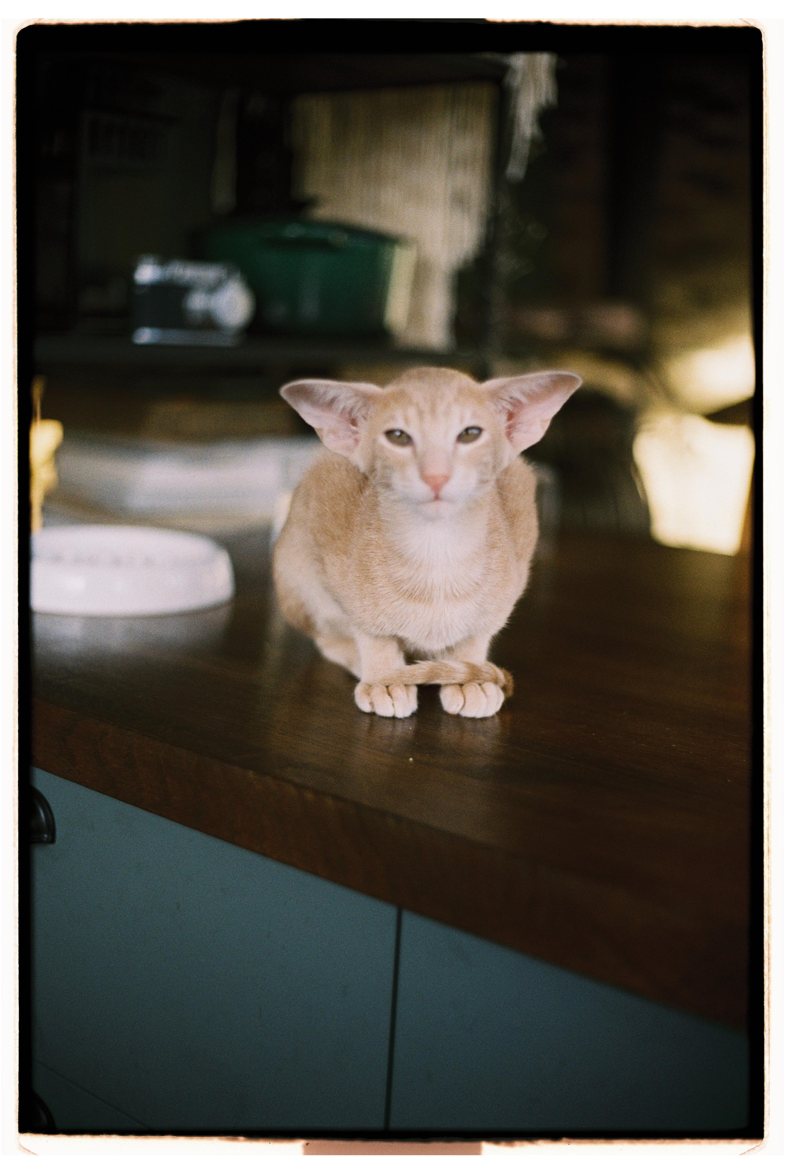 Morning routine. @tomrus: Рустам Шагиморданов — фотограф