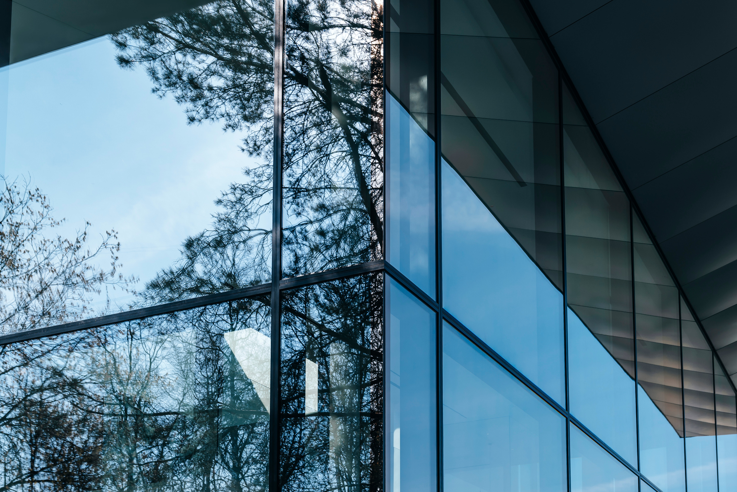 Moments, FORMA. @tomrus: Рустам Шагиморданов — фотограф