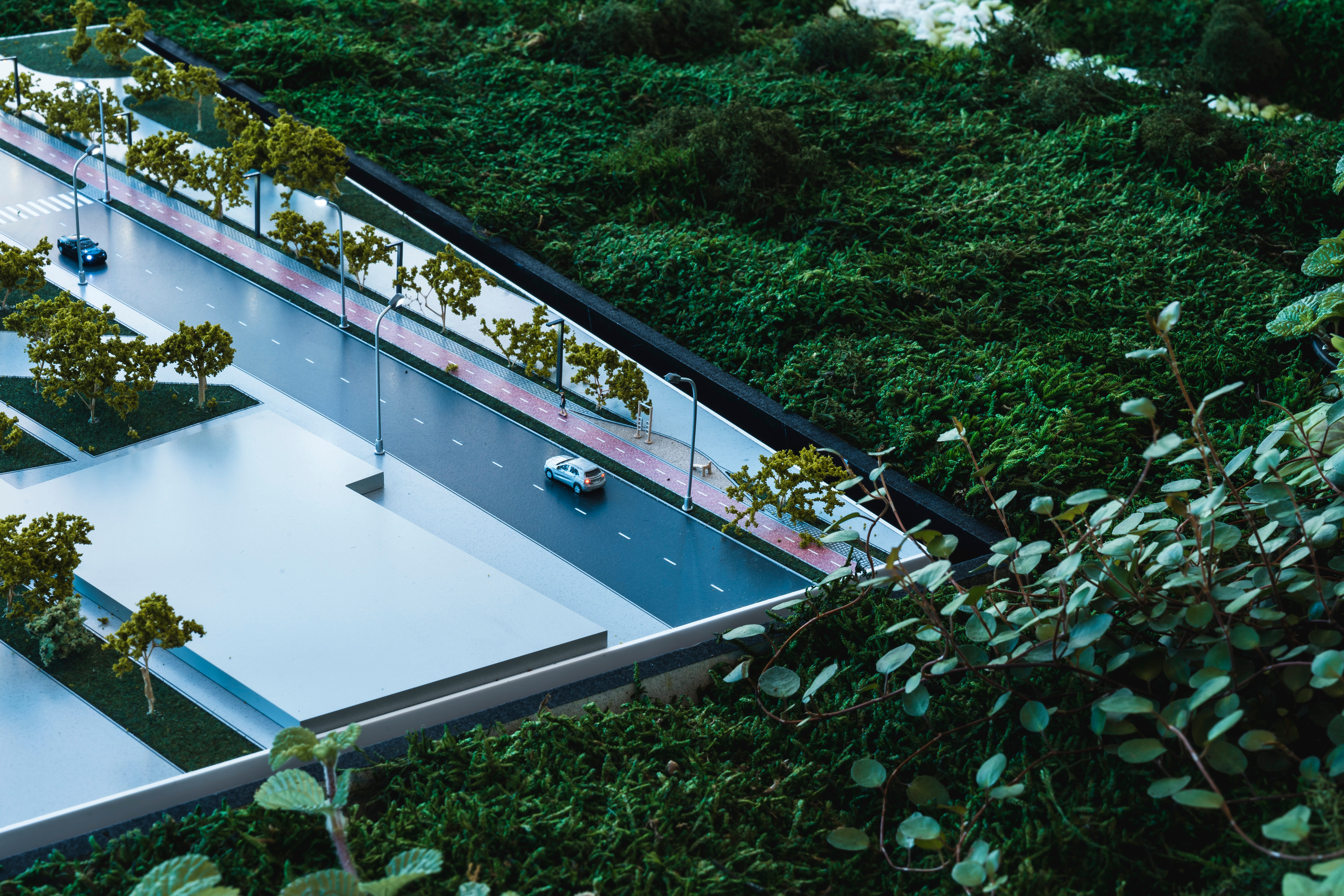 Moments, FORMA. @tomrus: Рустам Шагиморданов — фотограф