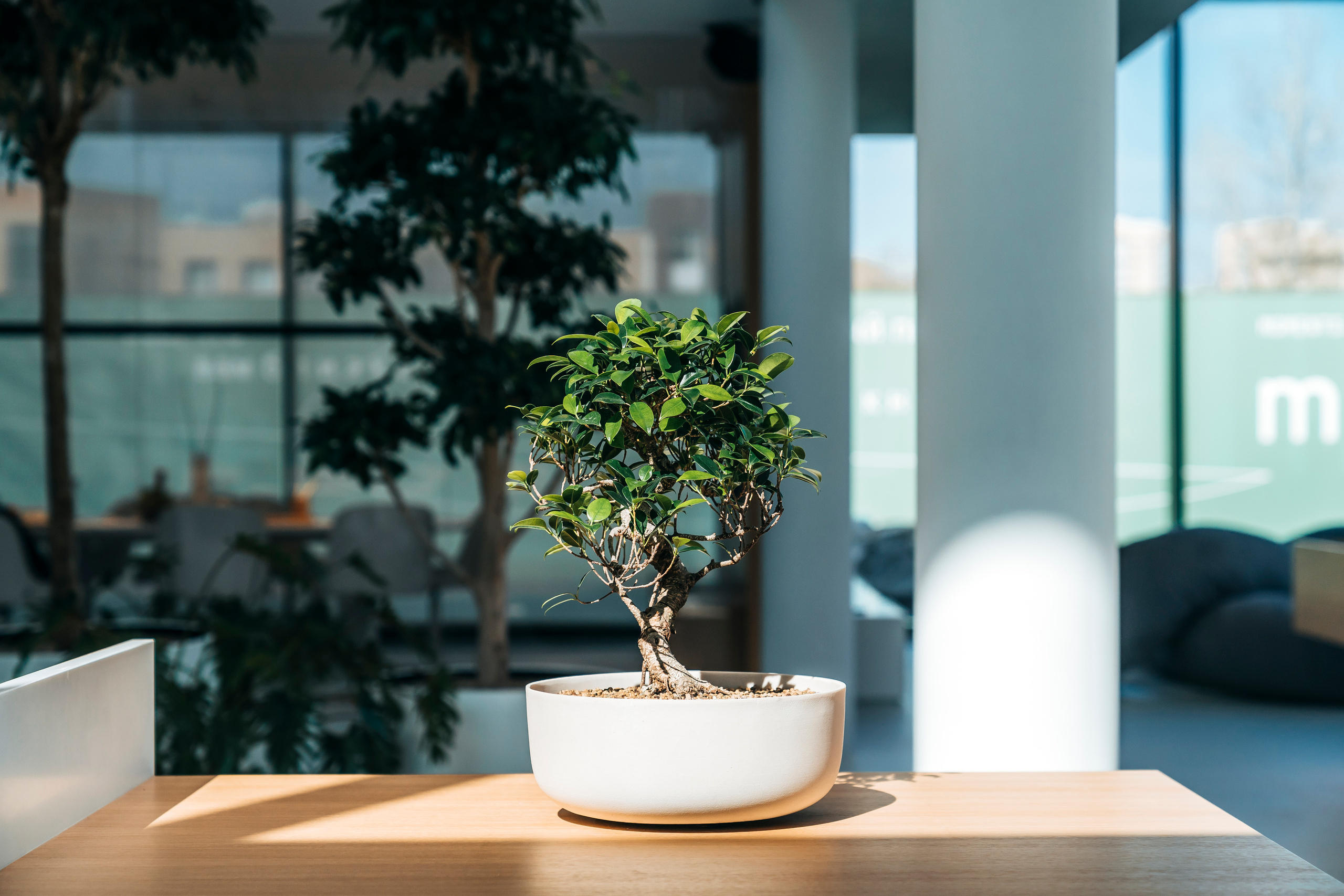 Moments, FORMA. @tomrus: Рустам Шагиморданов — фотограф