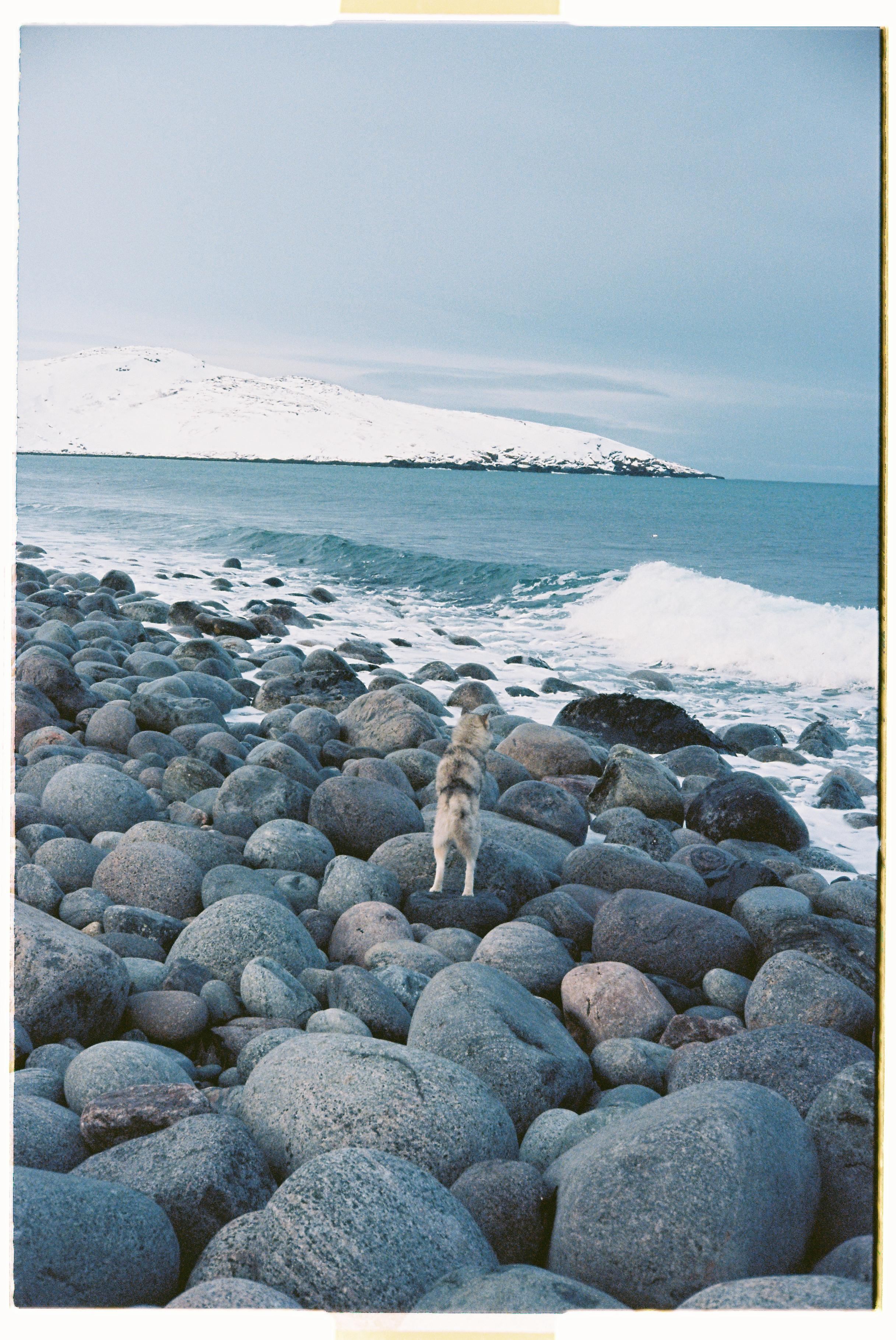 Teriberka. @tomrus: Рустам Шагиморданов — фотограф