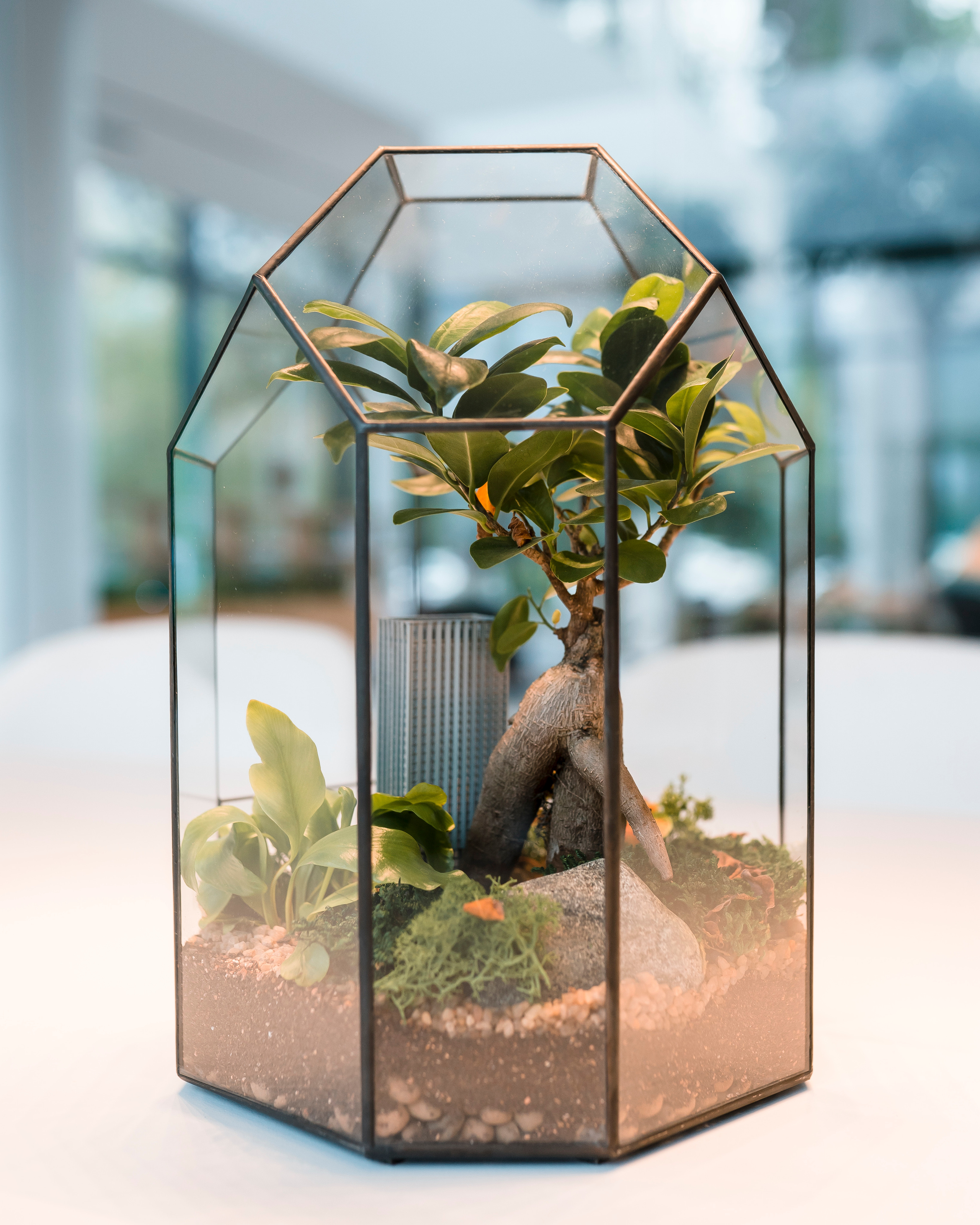 Moments, FORMA. @tomrus: Рустам Шагиморданов — фотограф