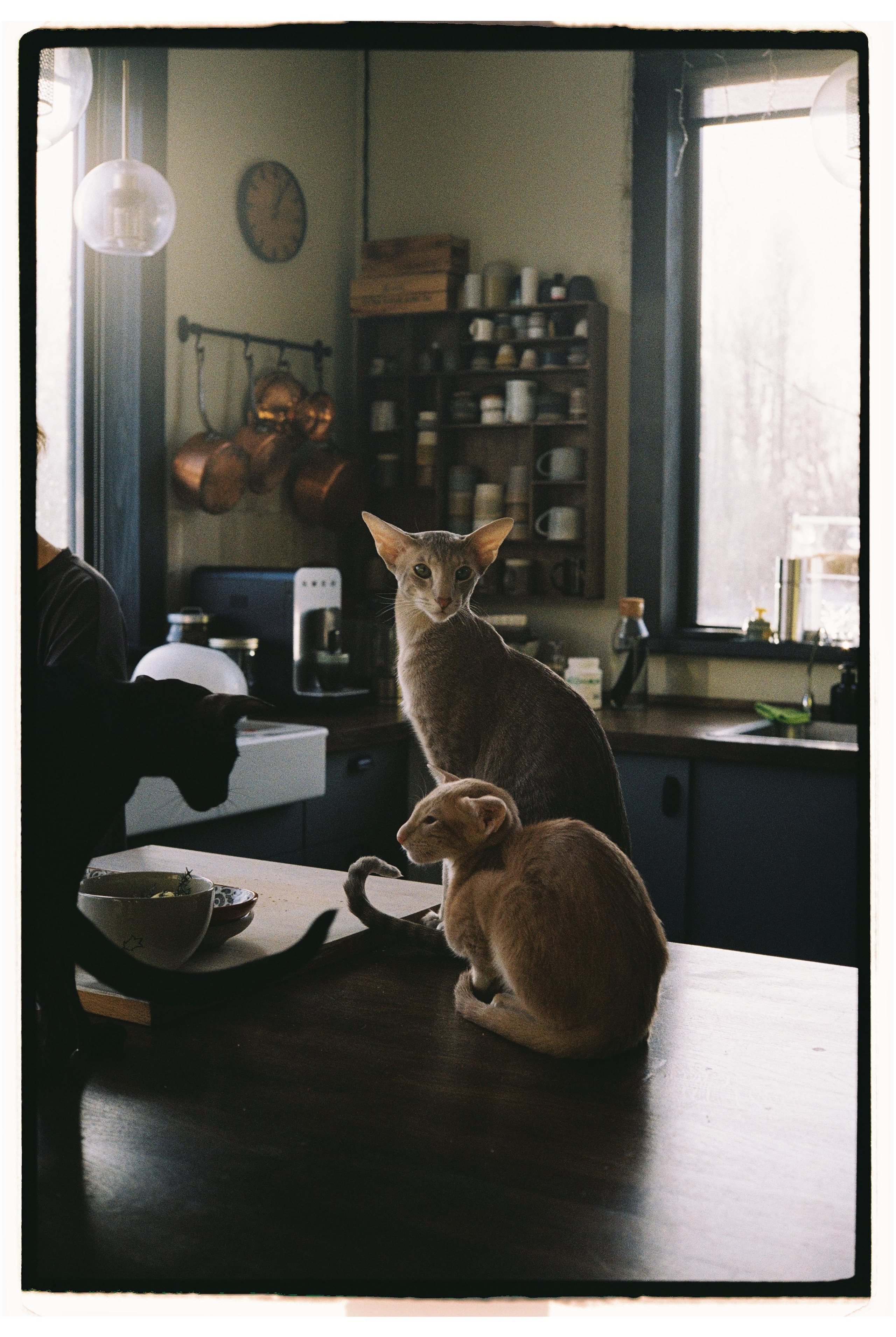 Morning routine. @tomrus: Рустам Шагиморданов — фотограф